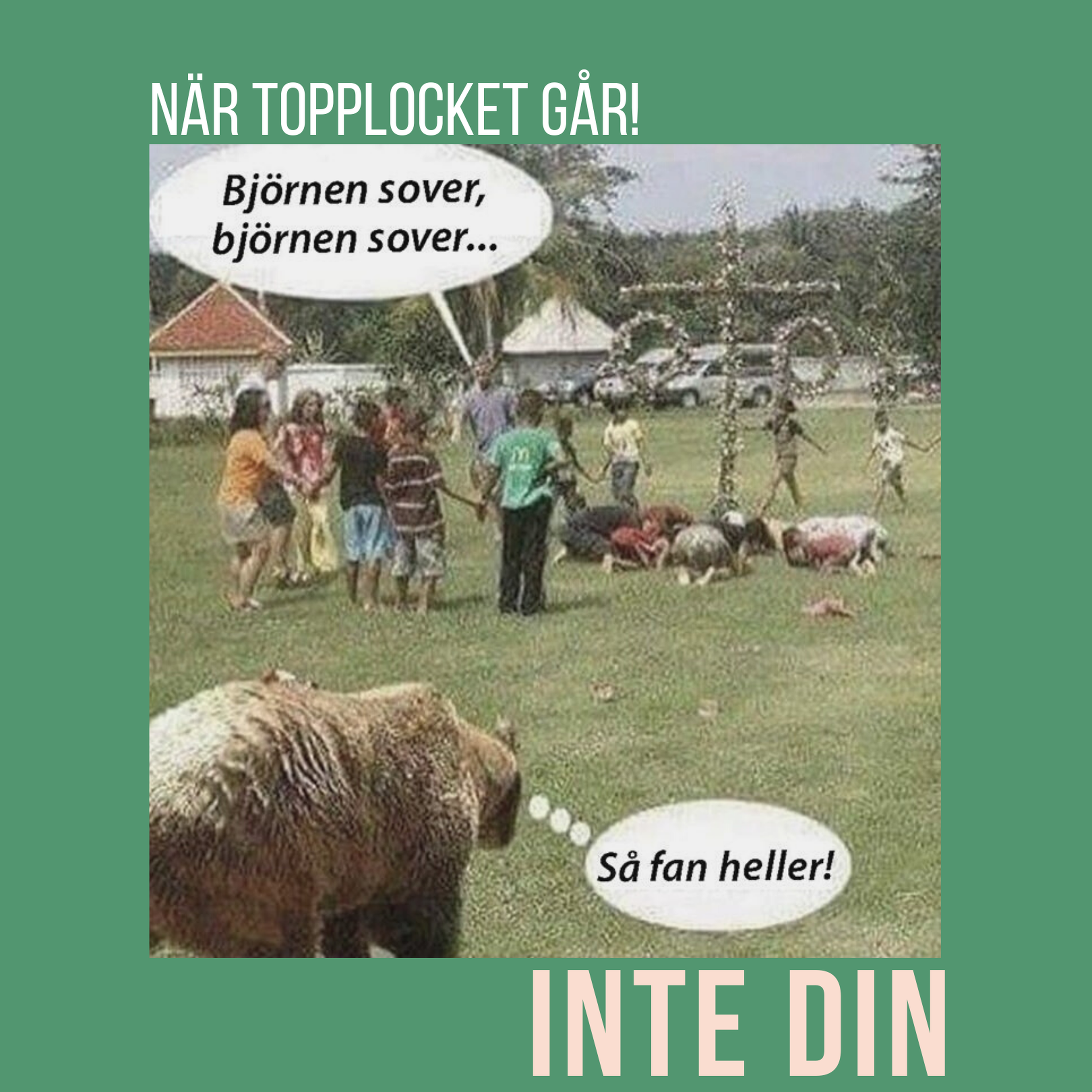 INTE DIN MORSA