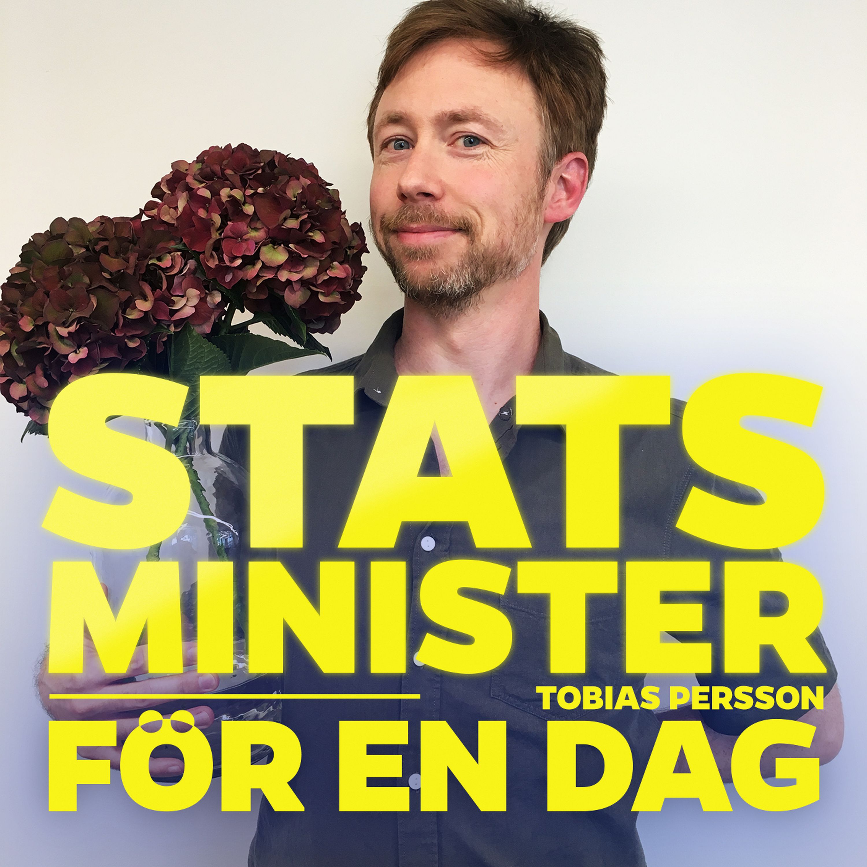 Statsminister för en dag