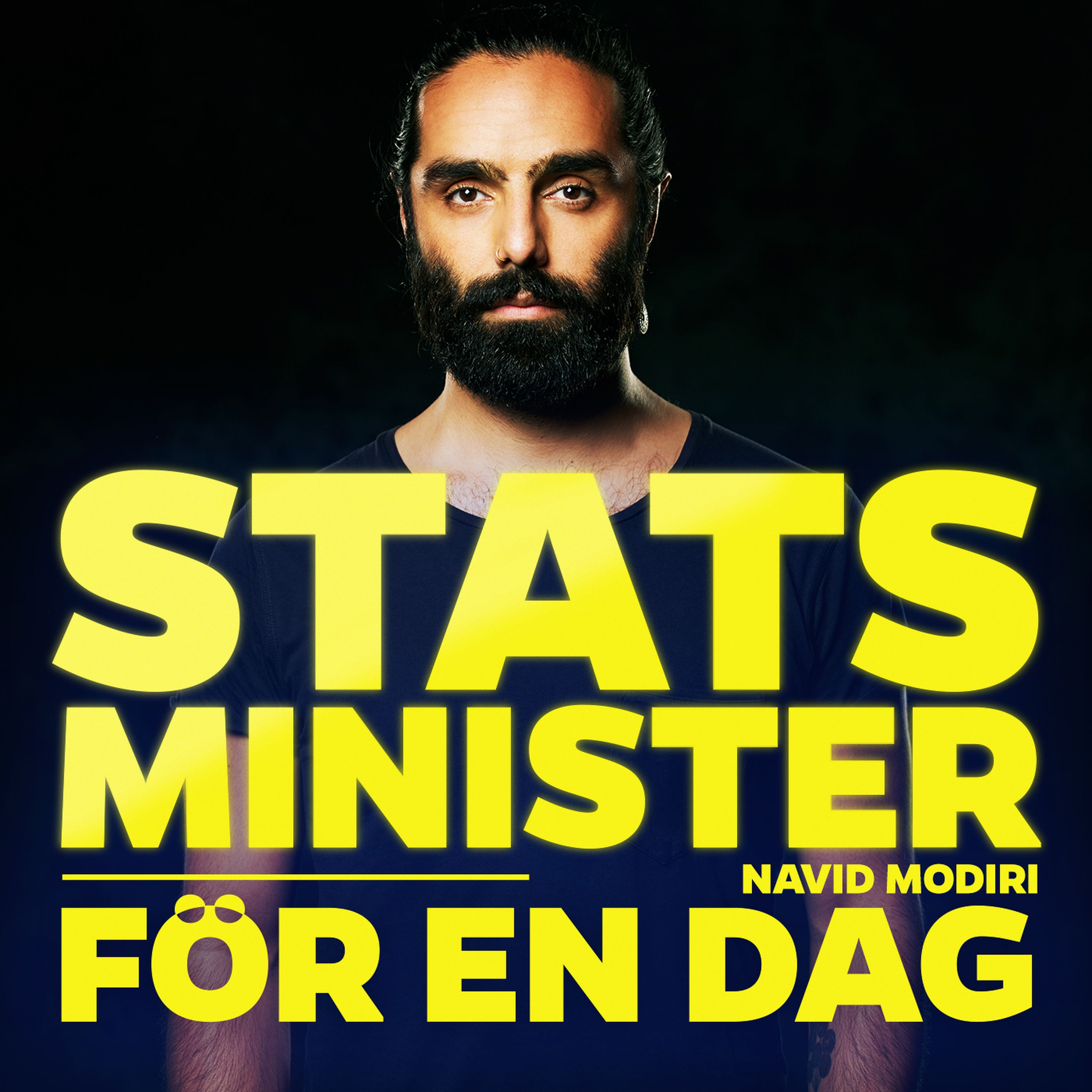 Statsminister för en dag