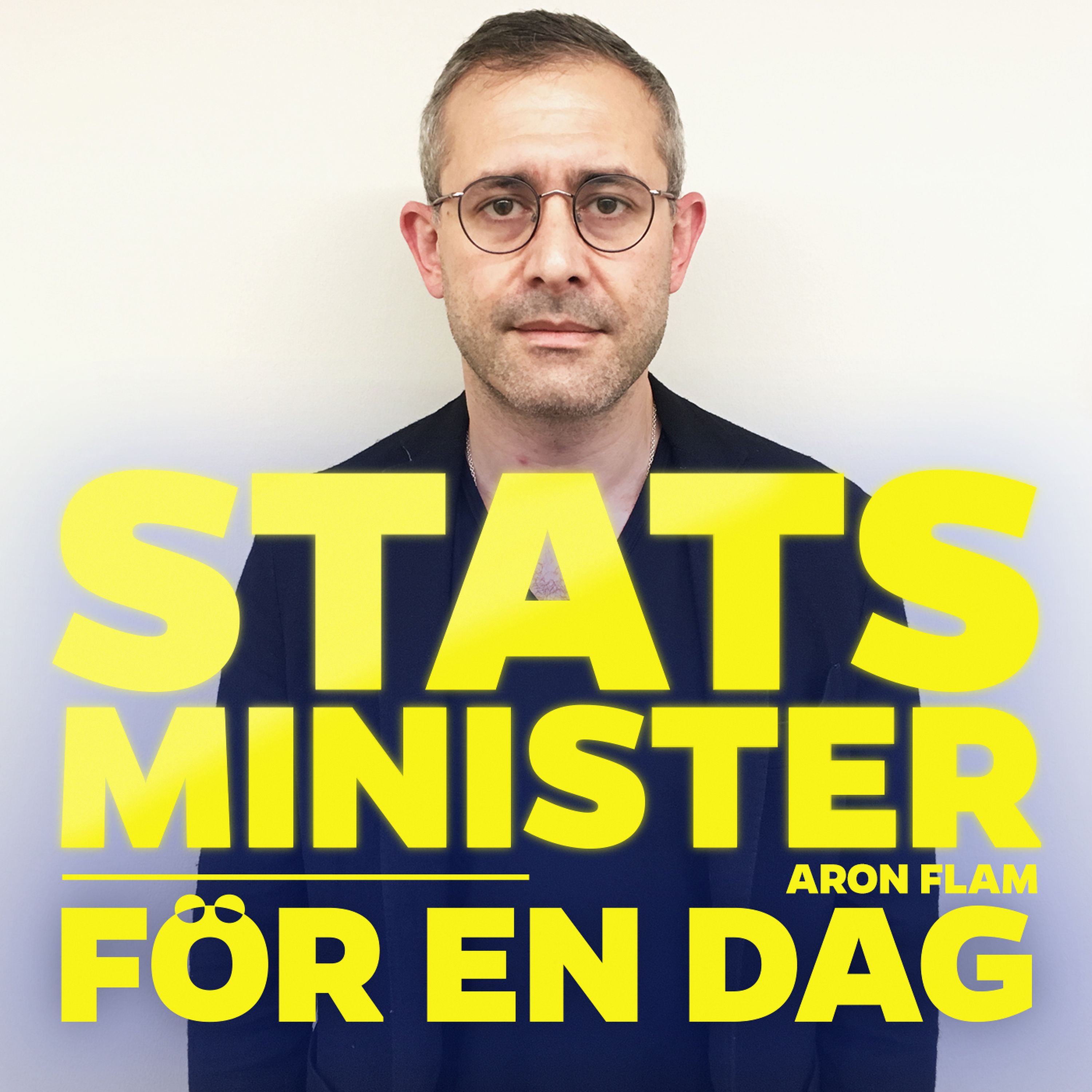 Statsminister för en dag