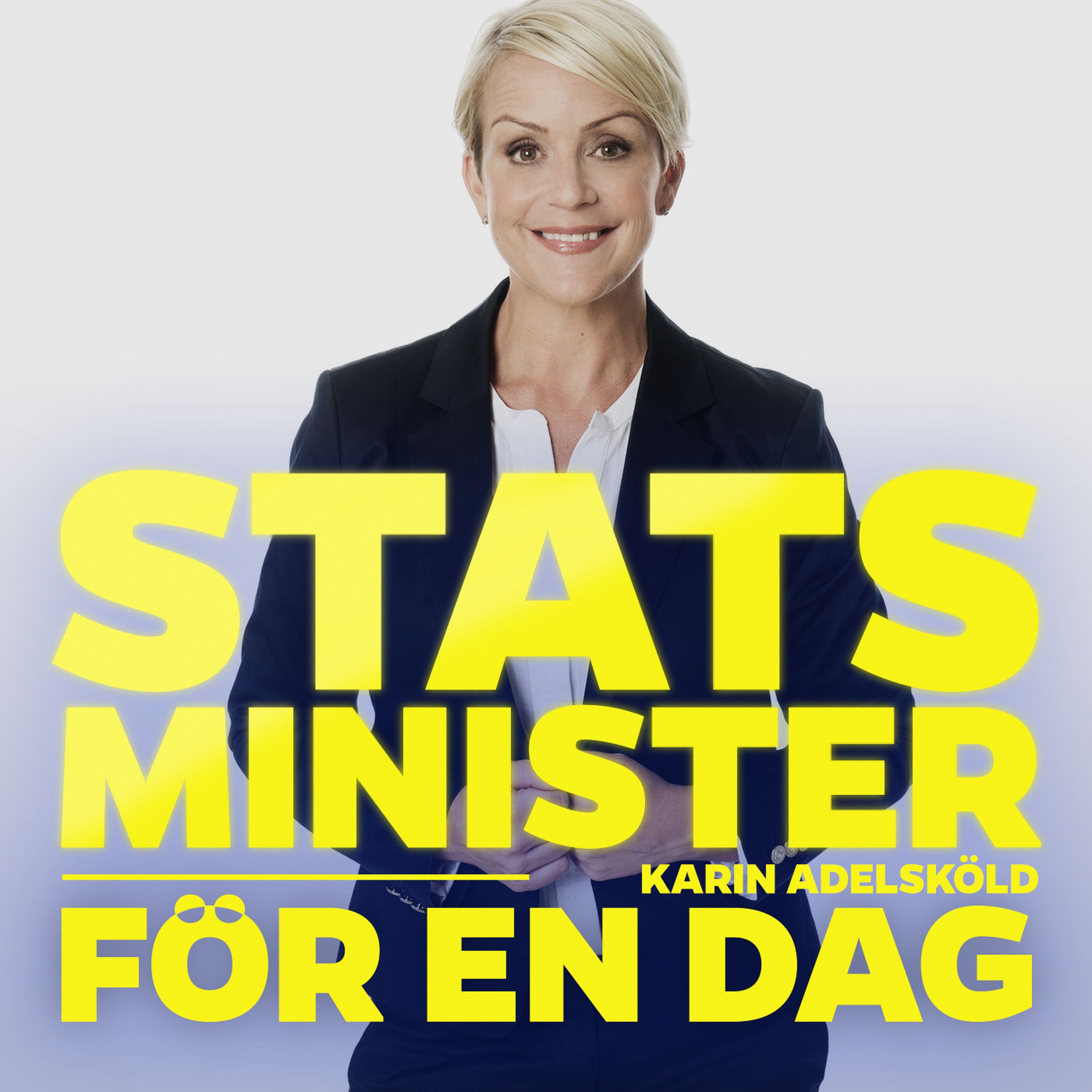 Statsminister för en dag