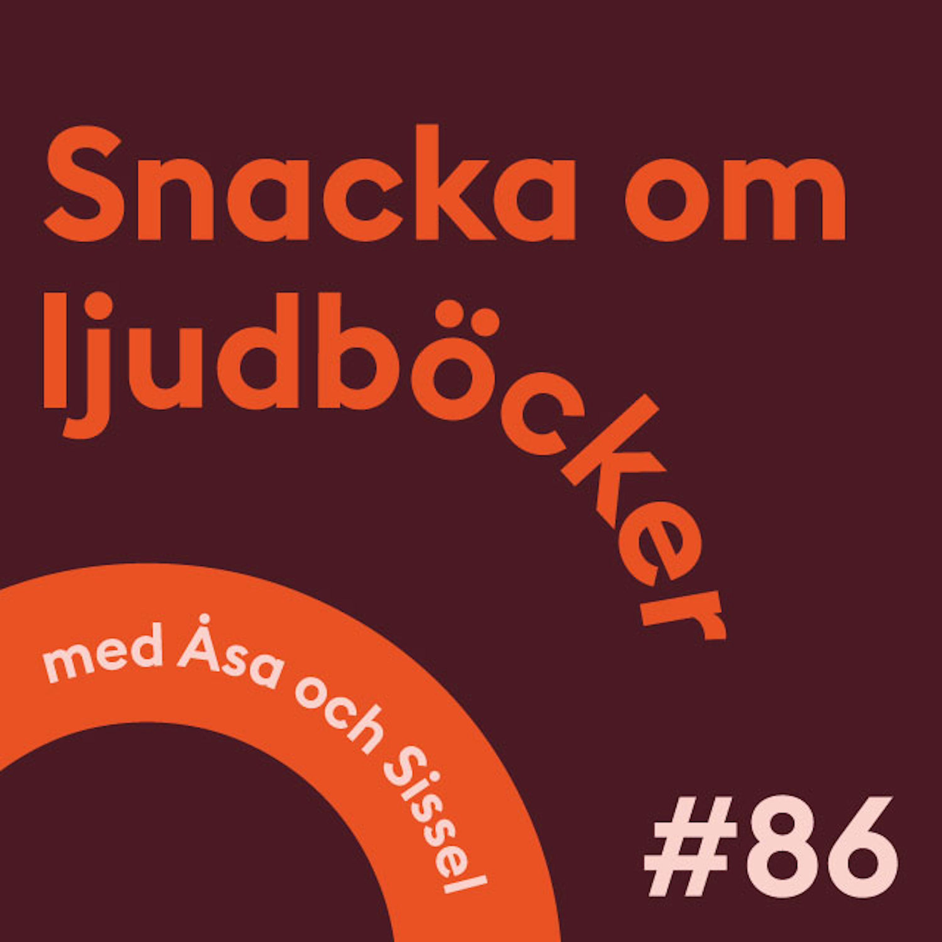 Snacka om ljudböcker
