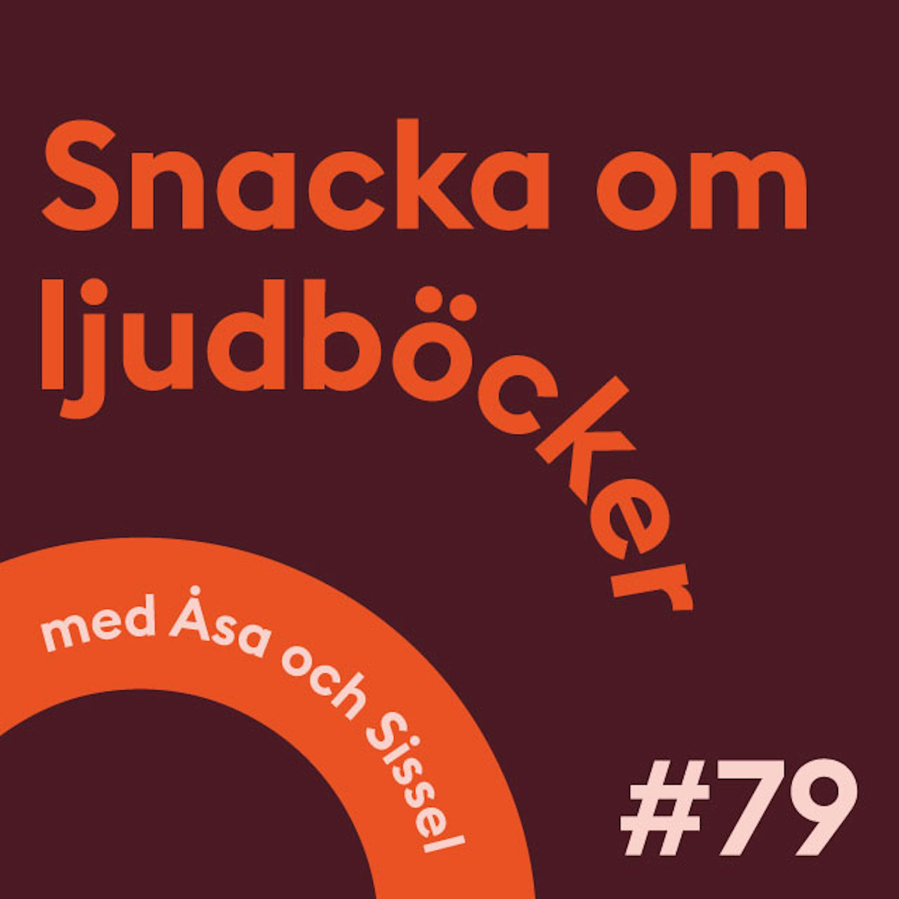 Snacka om ljudböcker