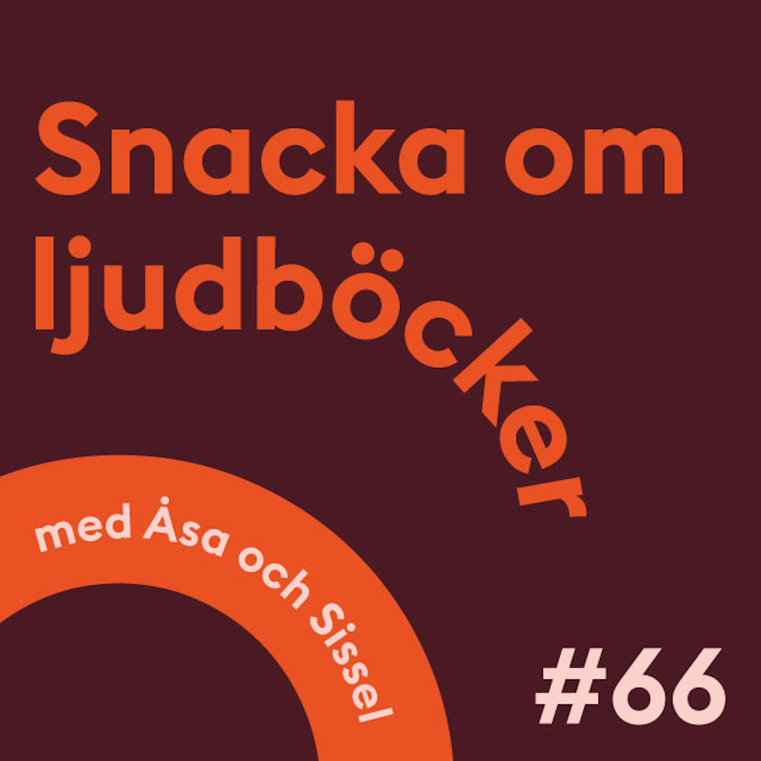 Snacka om ljudböcker