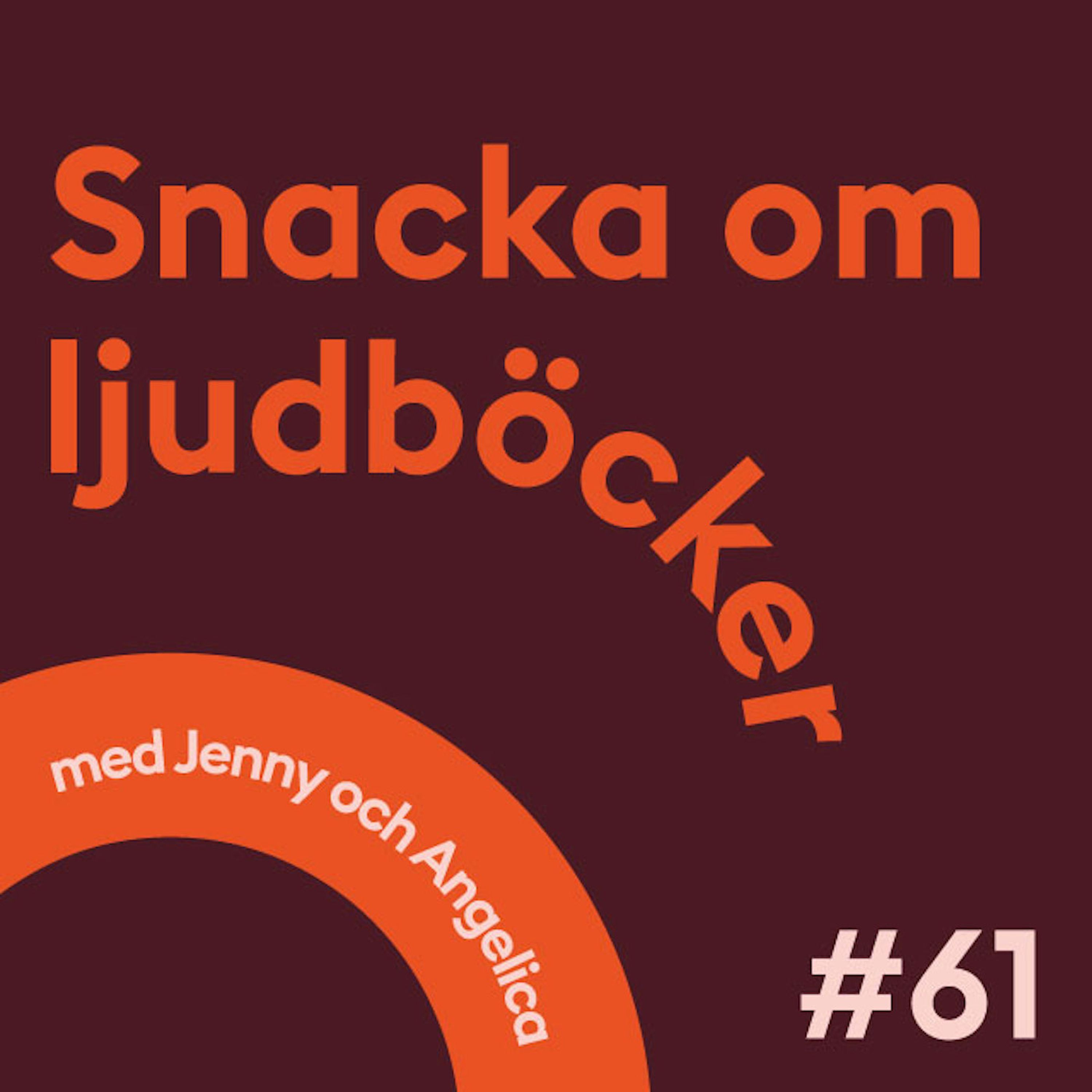 Snacka om ljudböcker