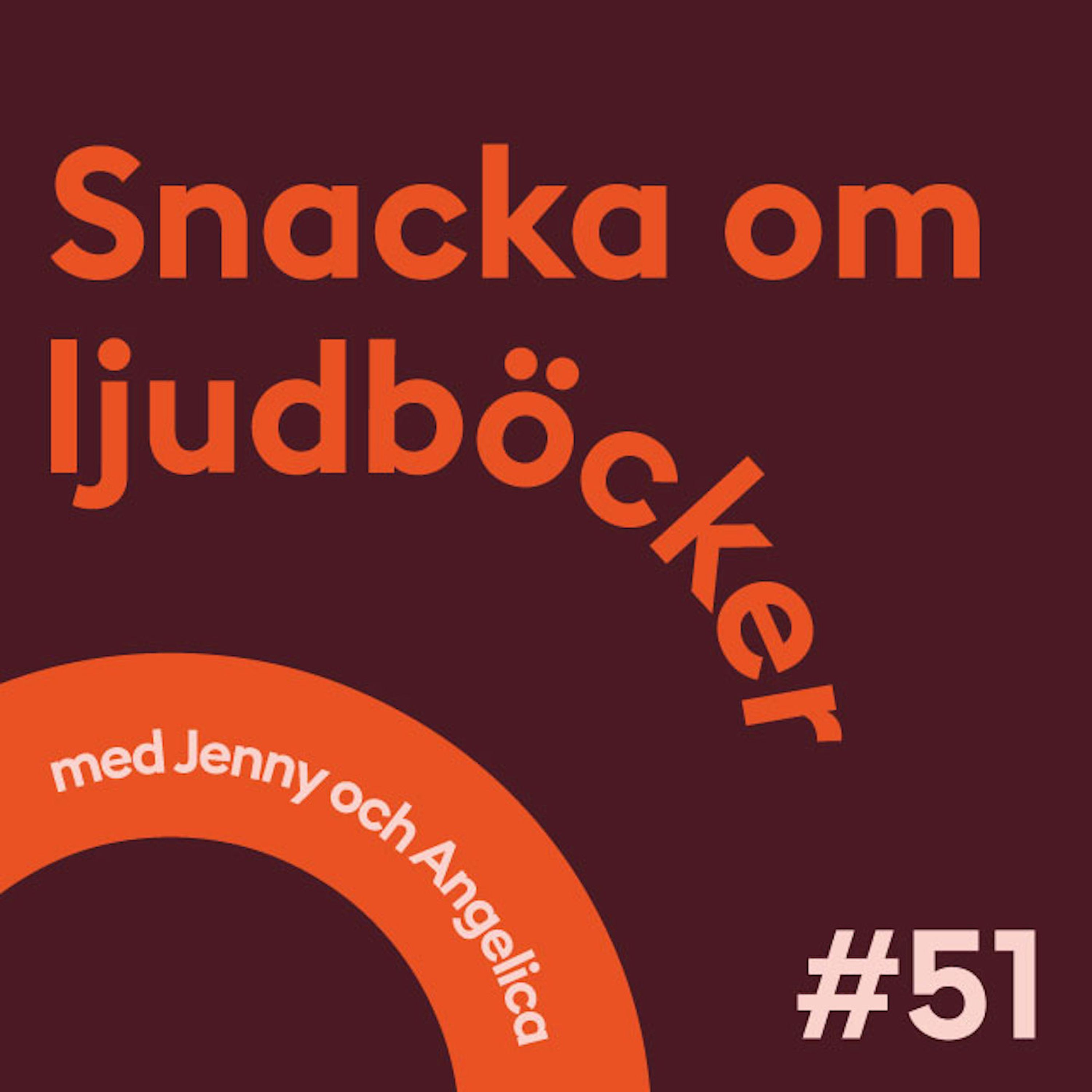 Snacka om ljudböcker