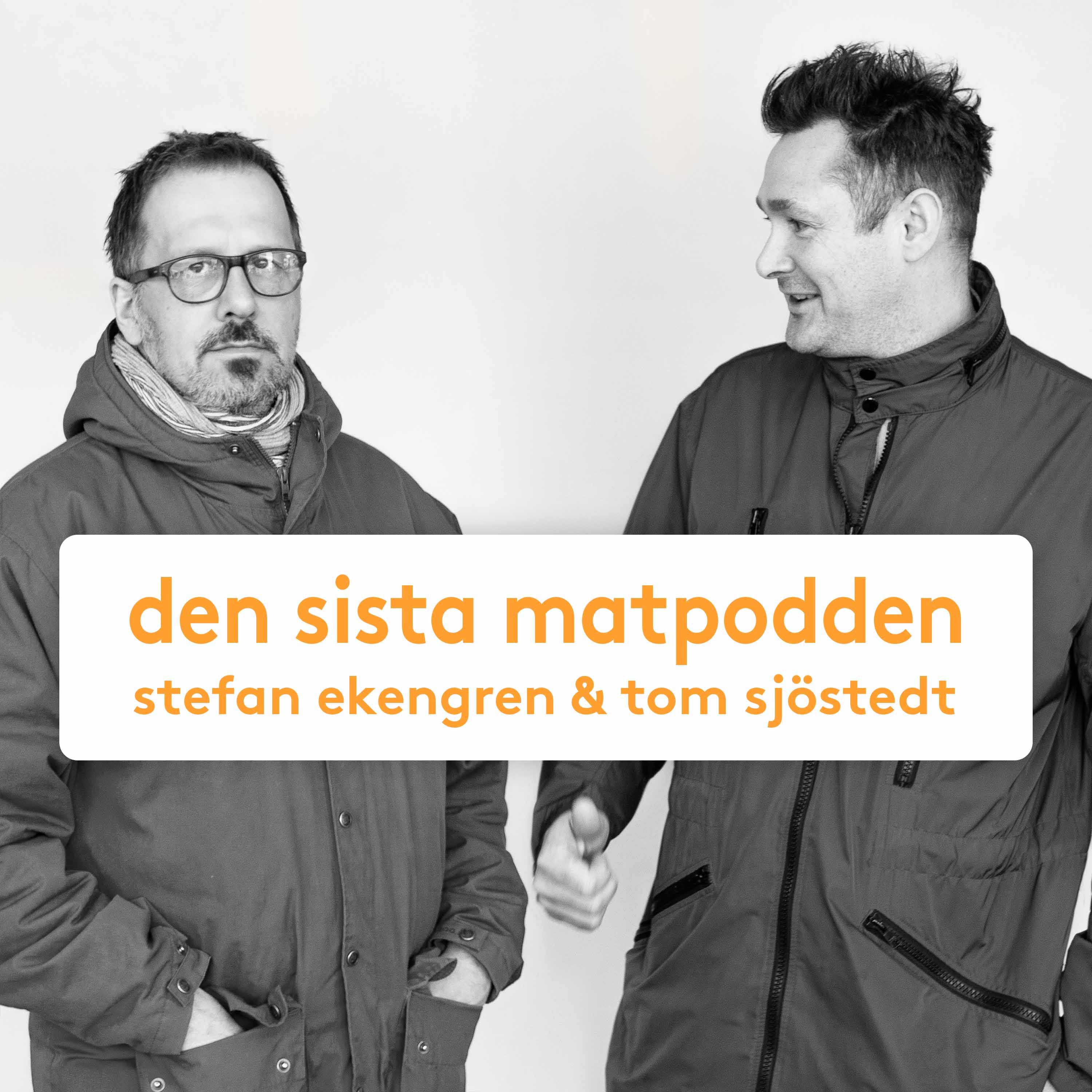 Avsnitt 1: Det sista avsnittet episode artwork
