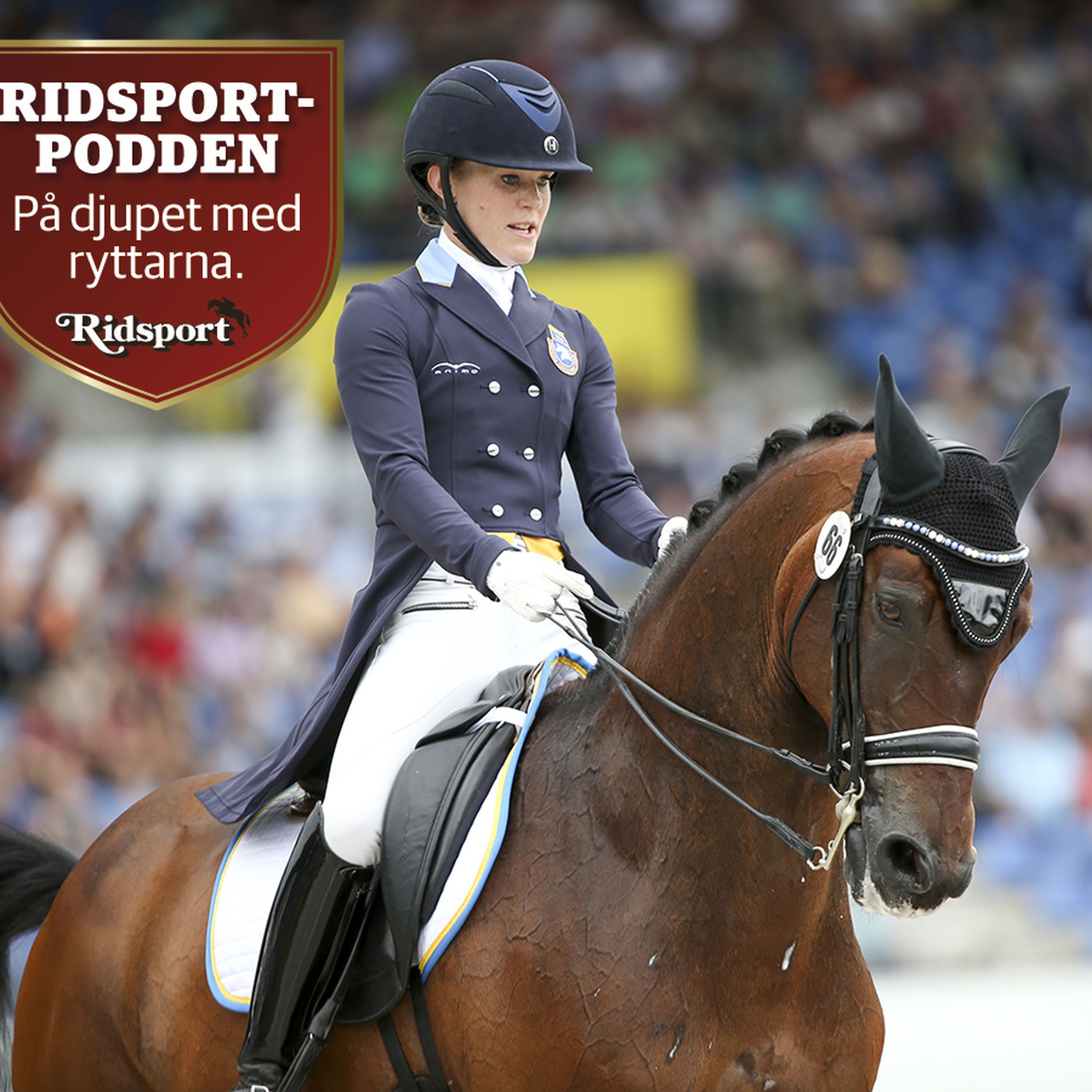 Ridsportpodden