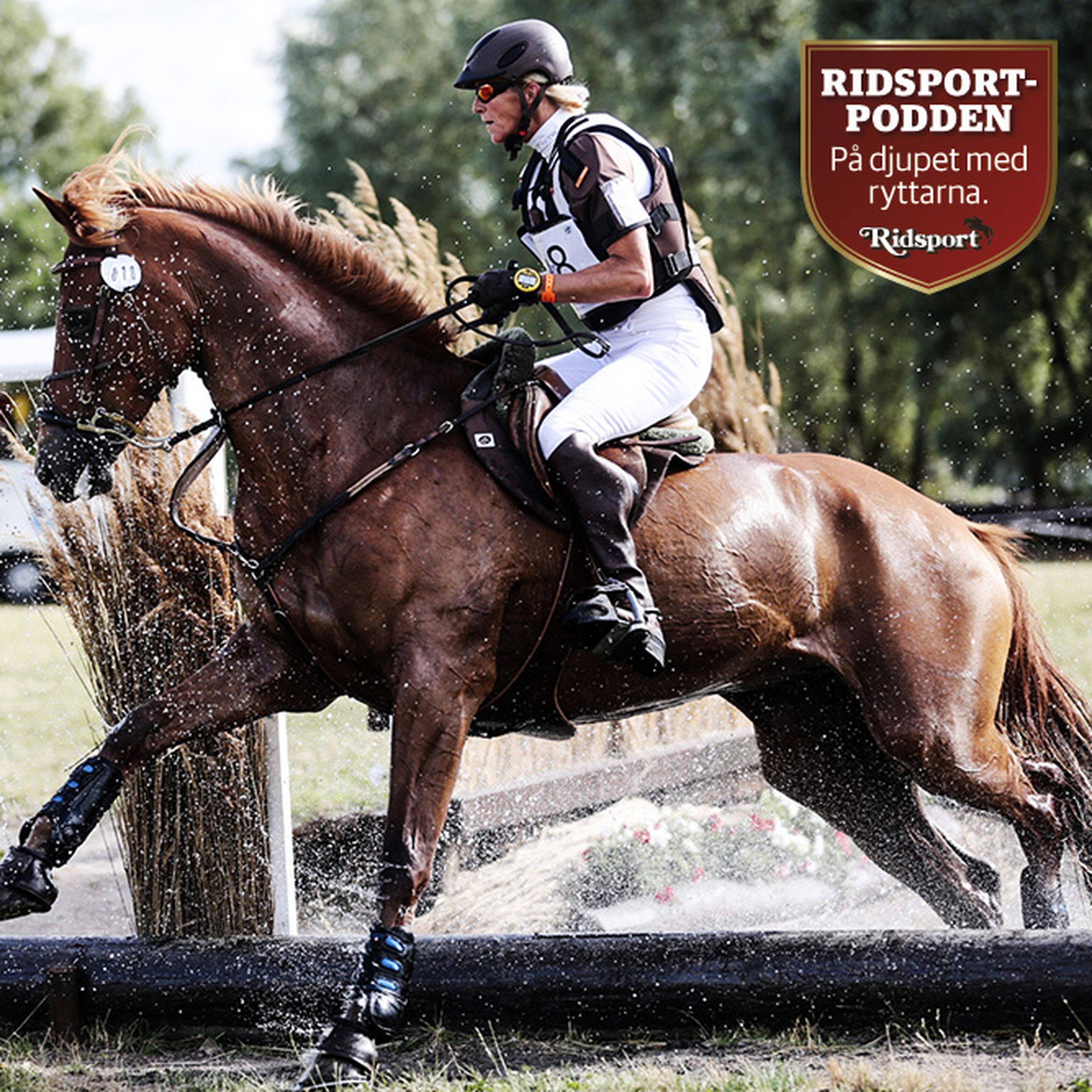 Ridsportpodden
