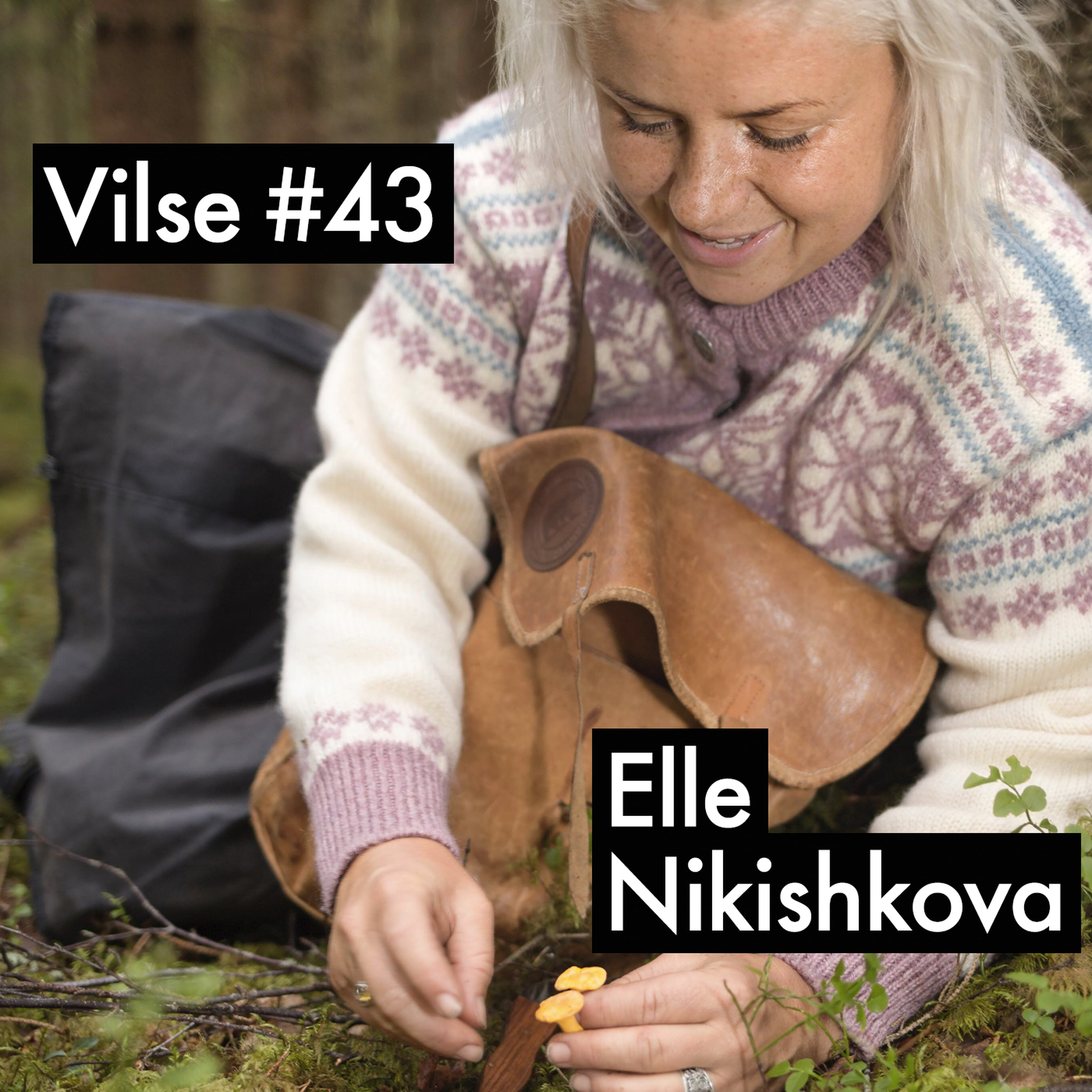 Vilse