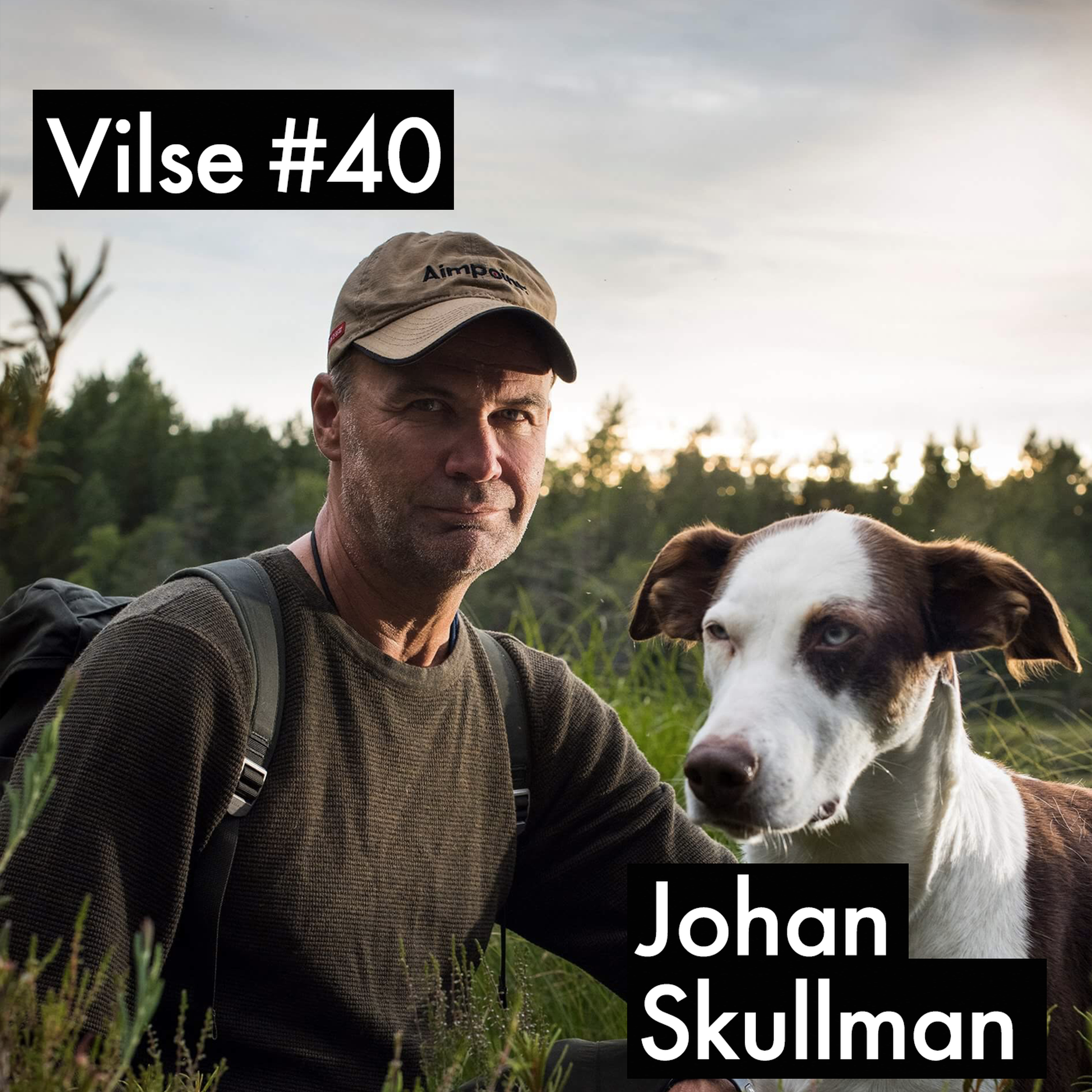 Vilse