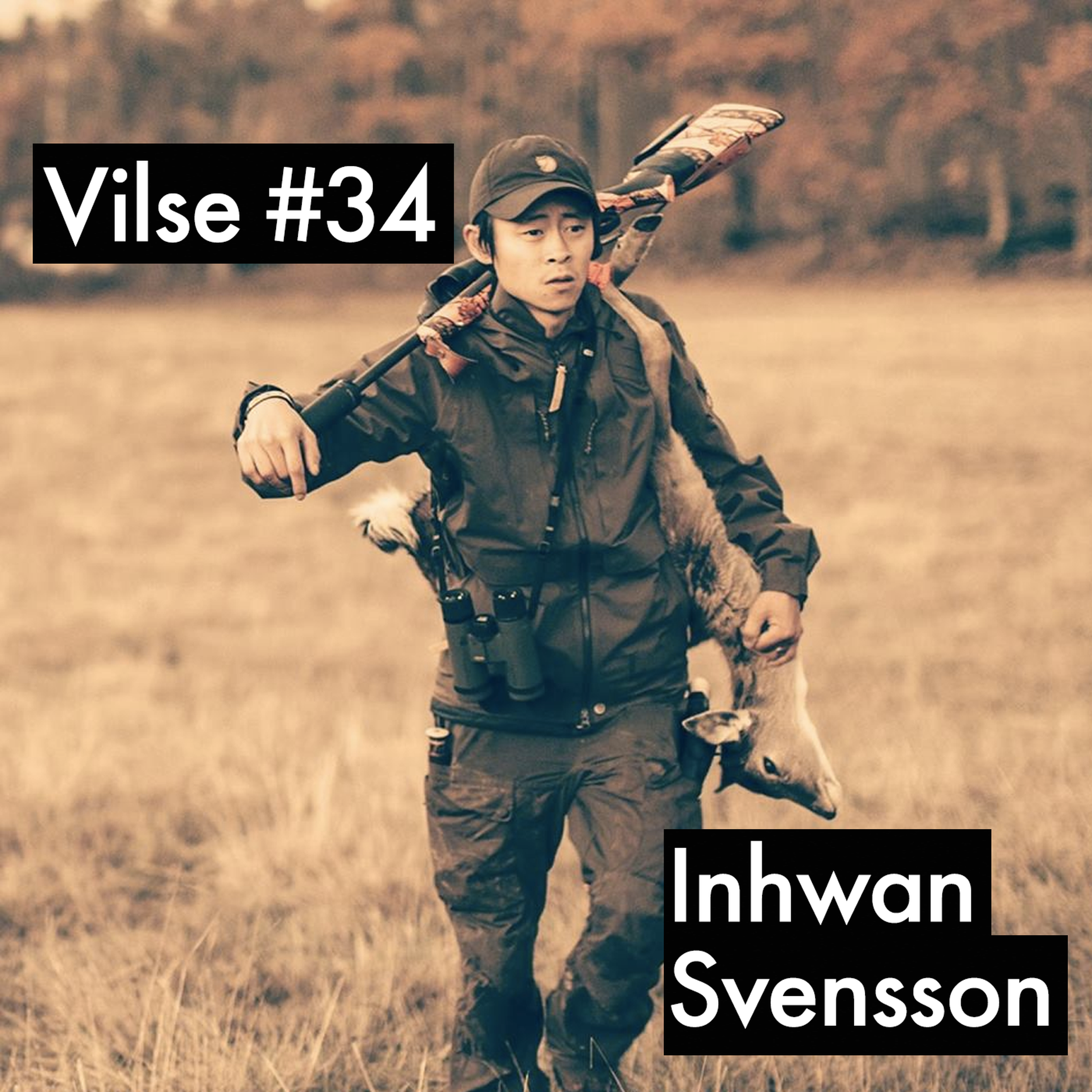 Vilse