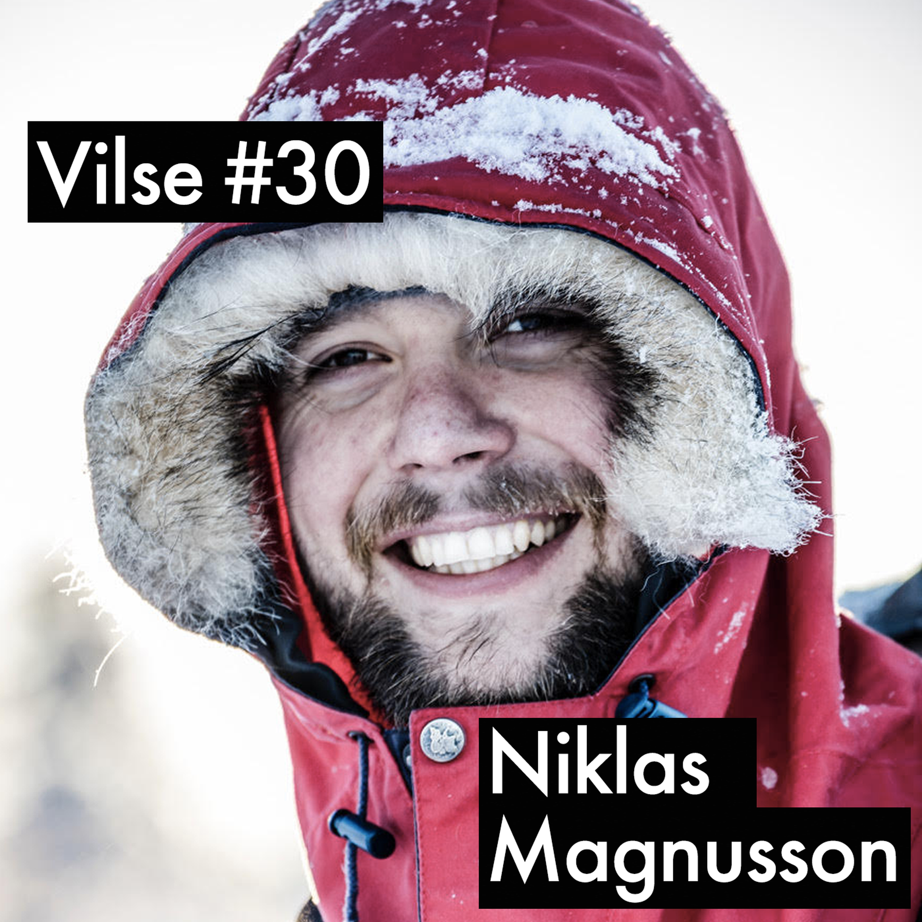 Vilse