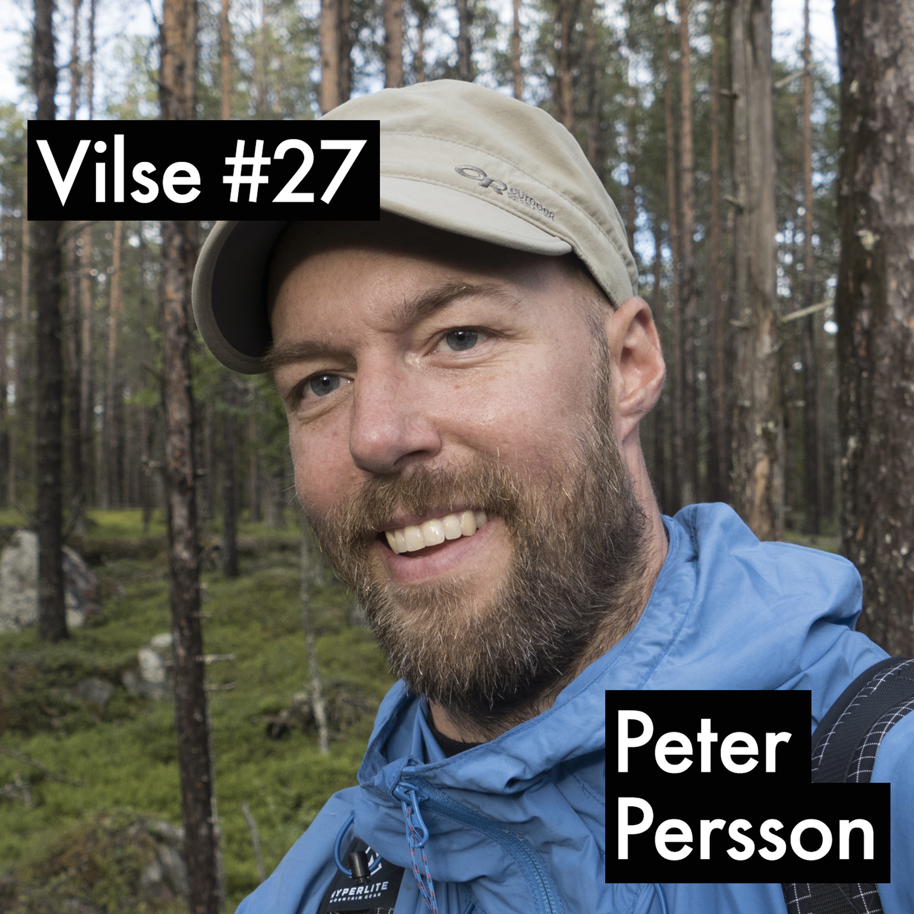 Vilse
