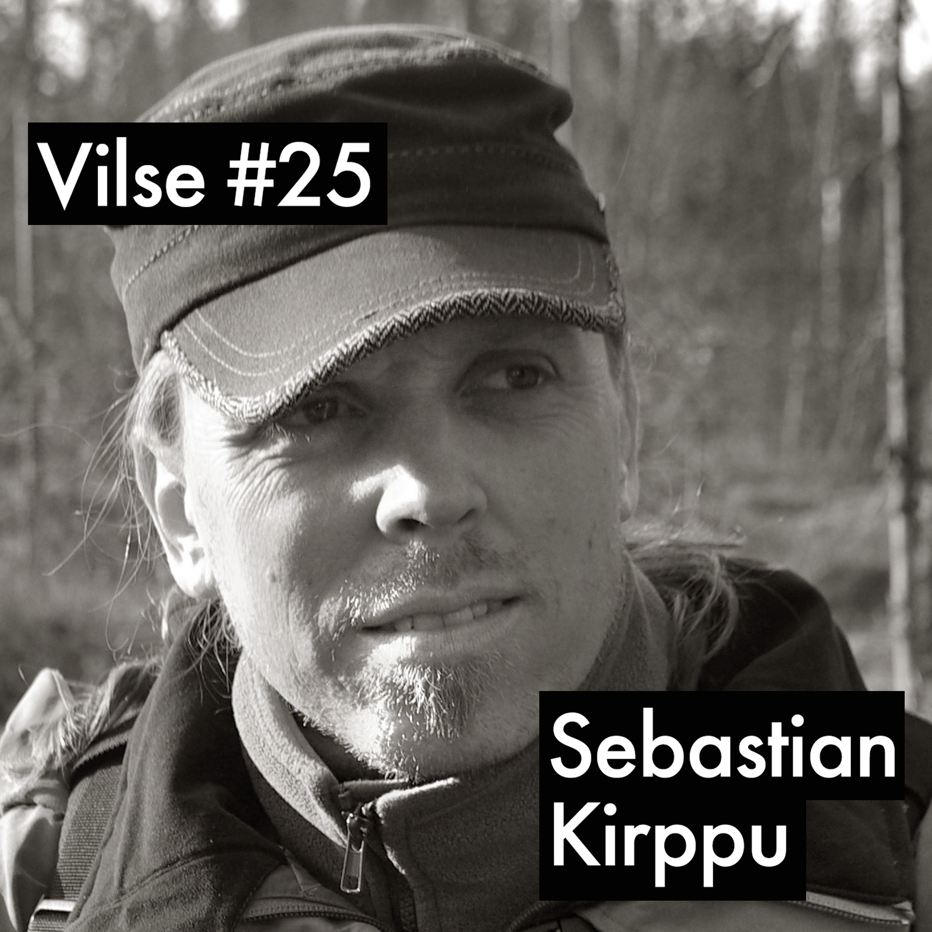 Vilse