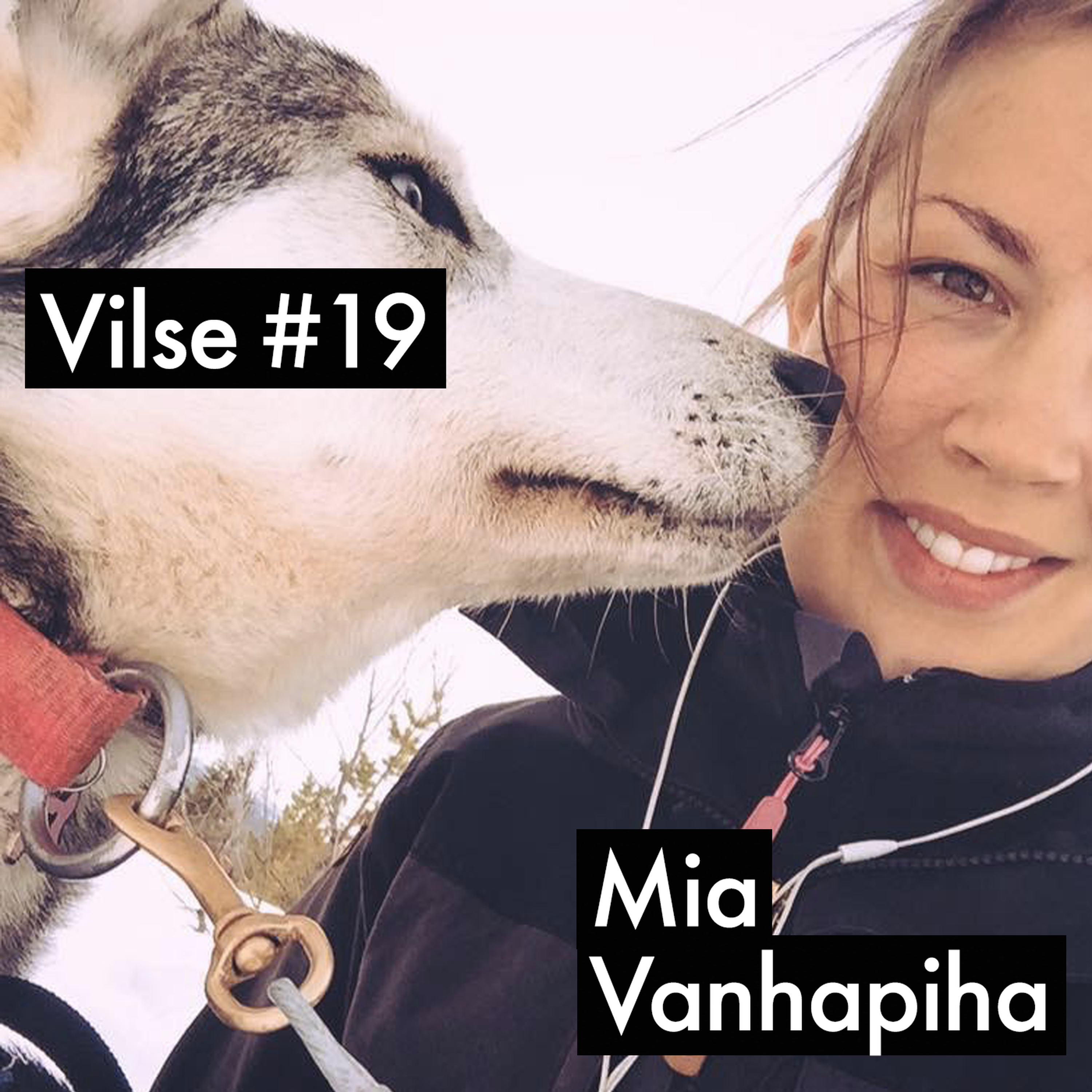 Vilse