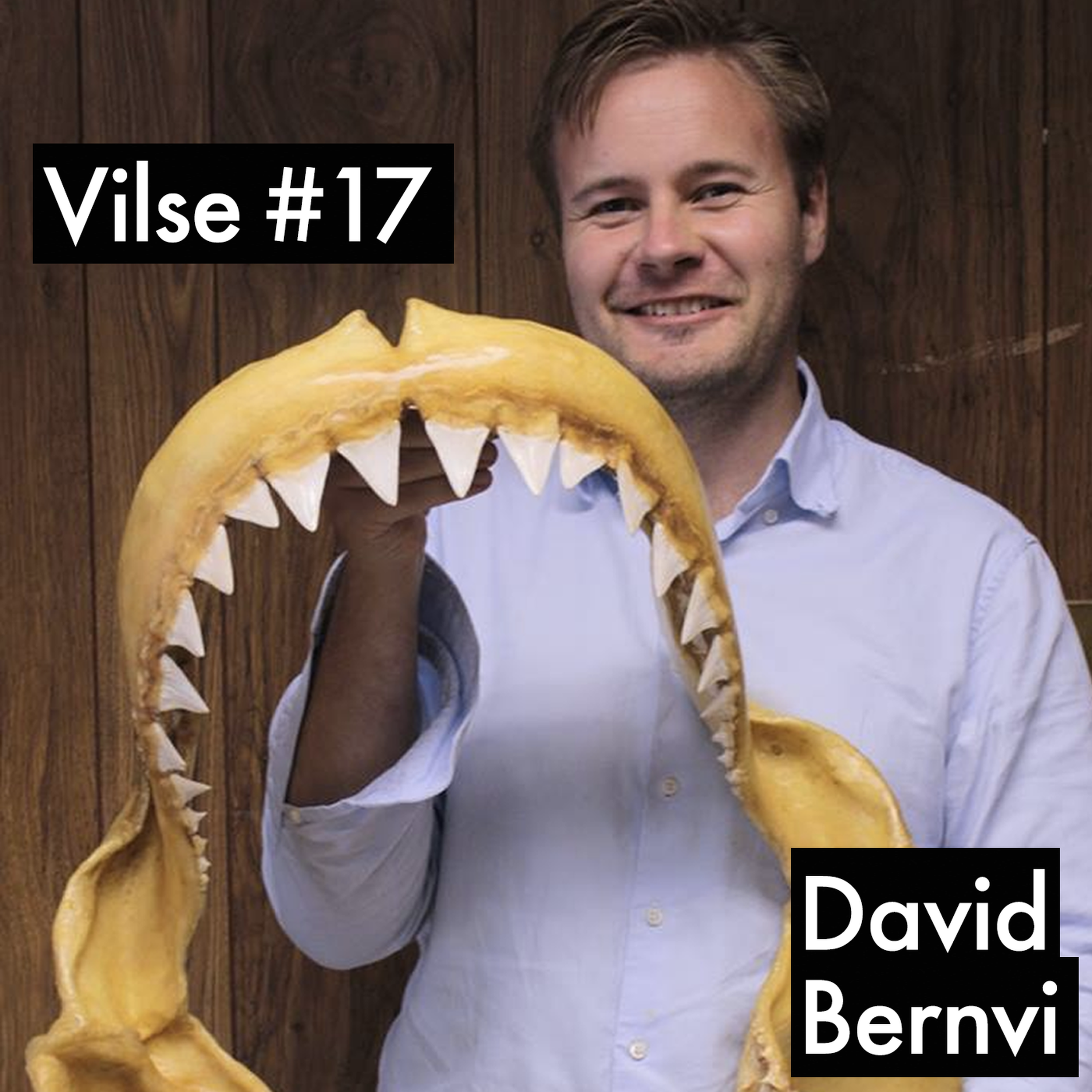 cover art for #17: David Bernvi, hajexperten