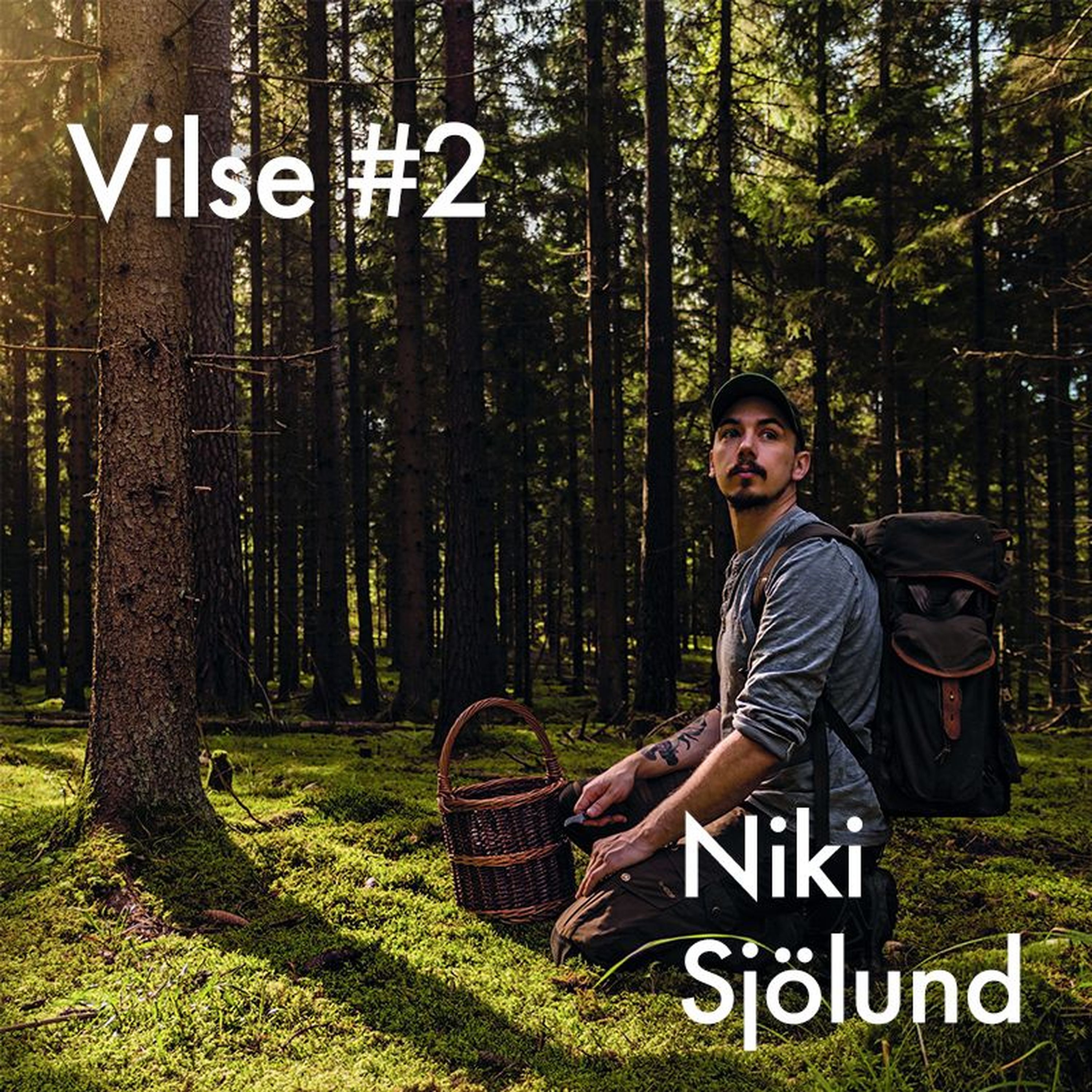 Vilse