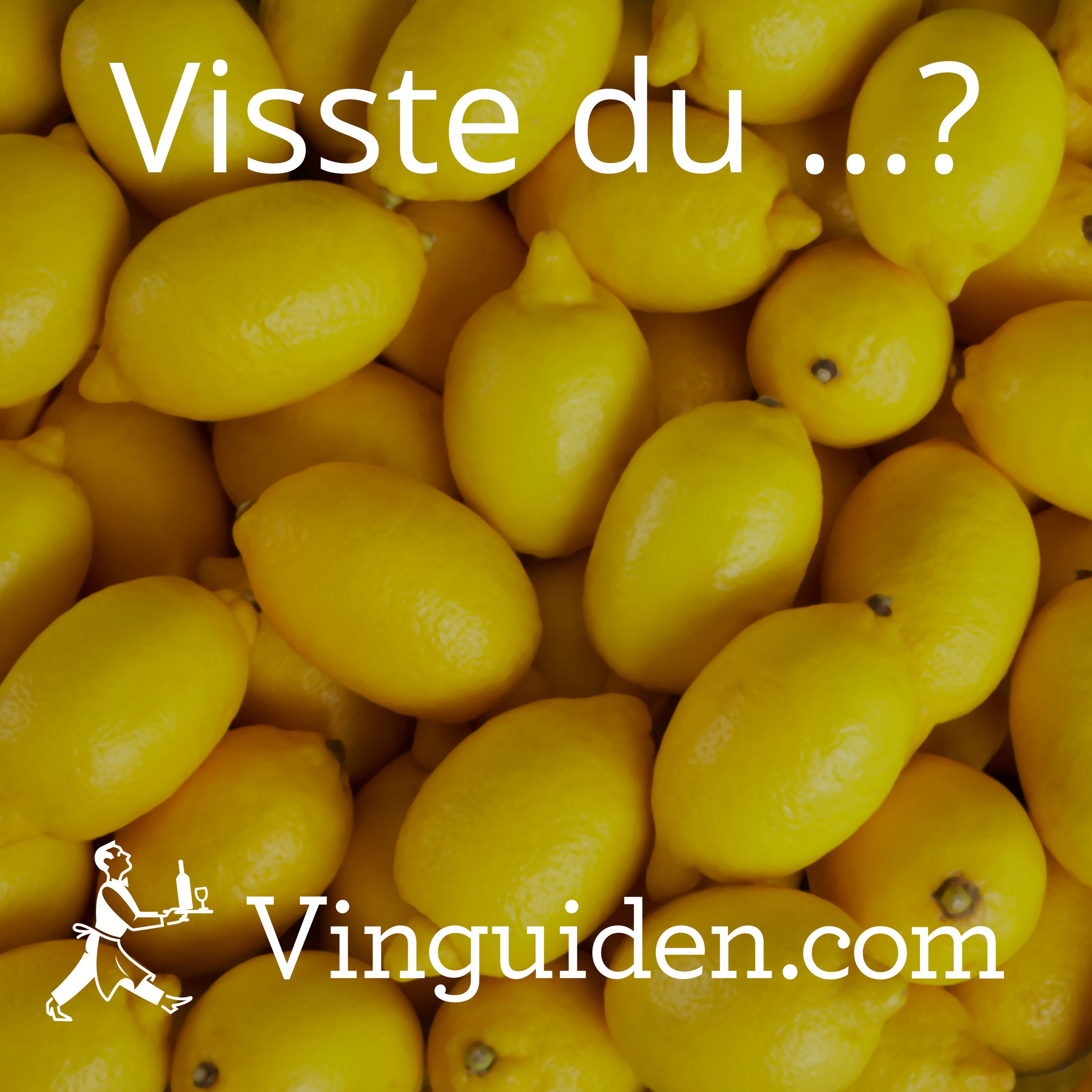 cover art for Kan ett vin smaka citron?