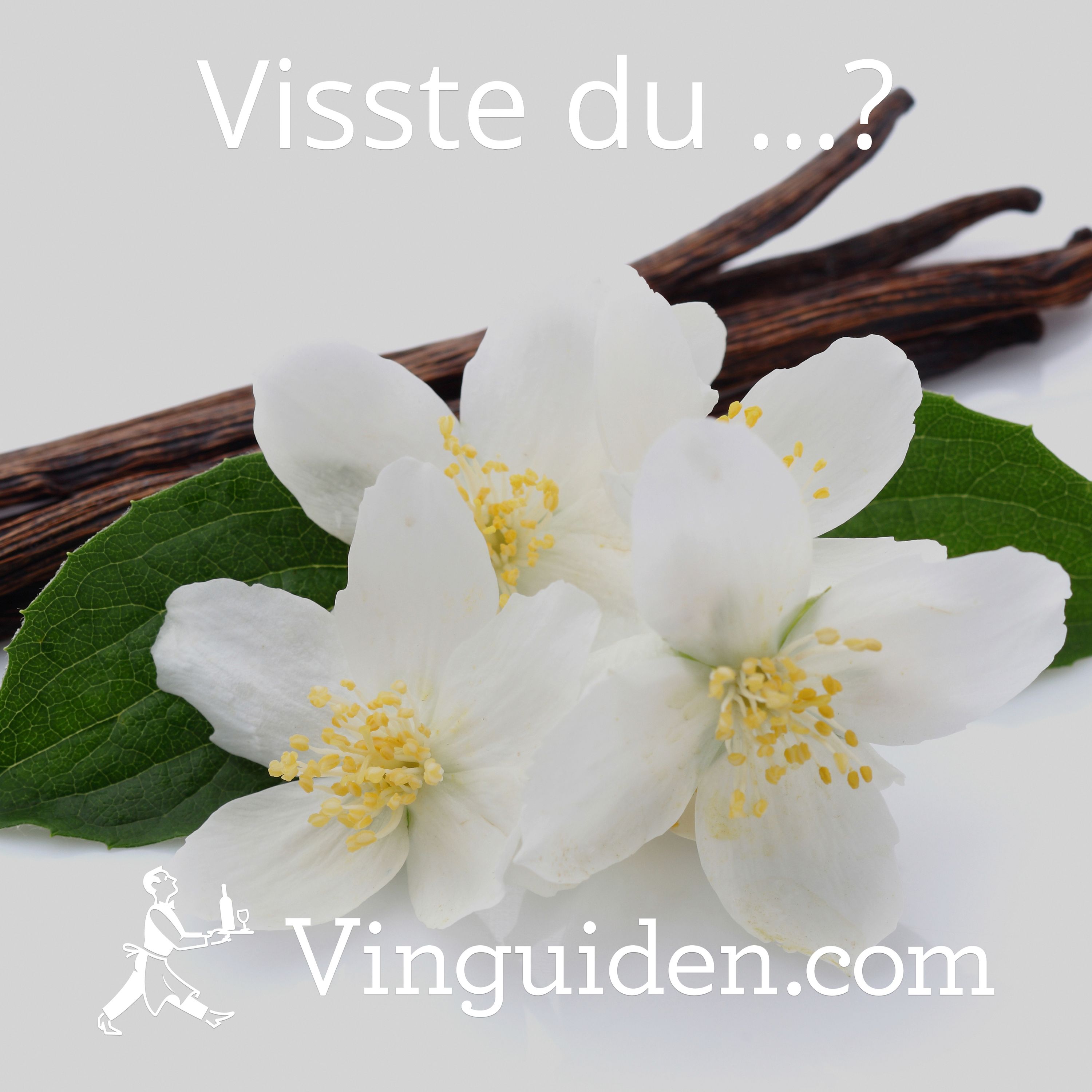Kan ett vin smaka vanilj? episode artwork