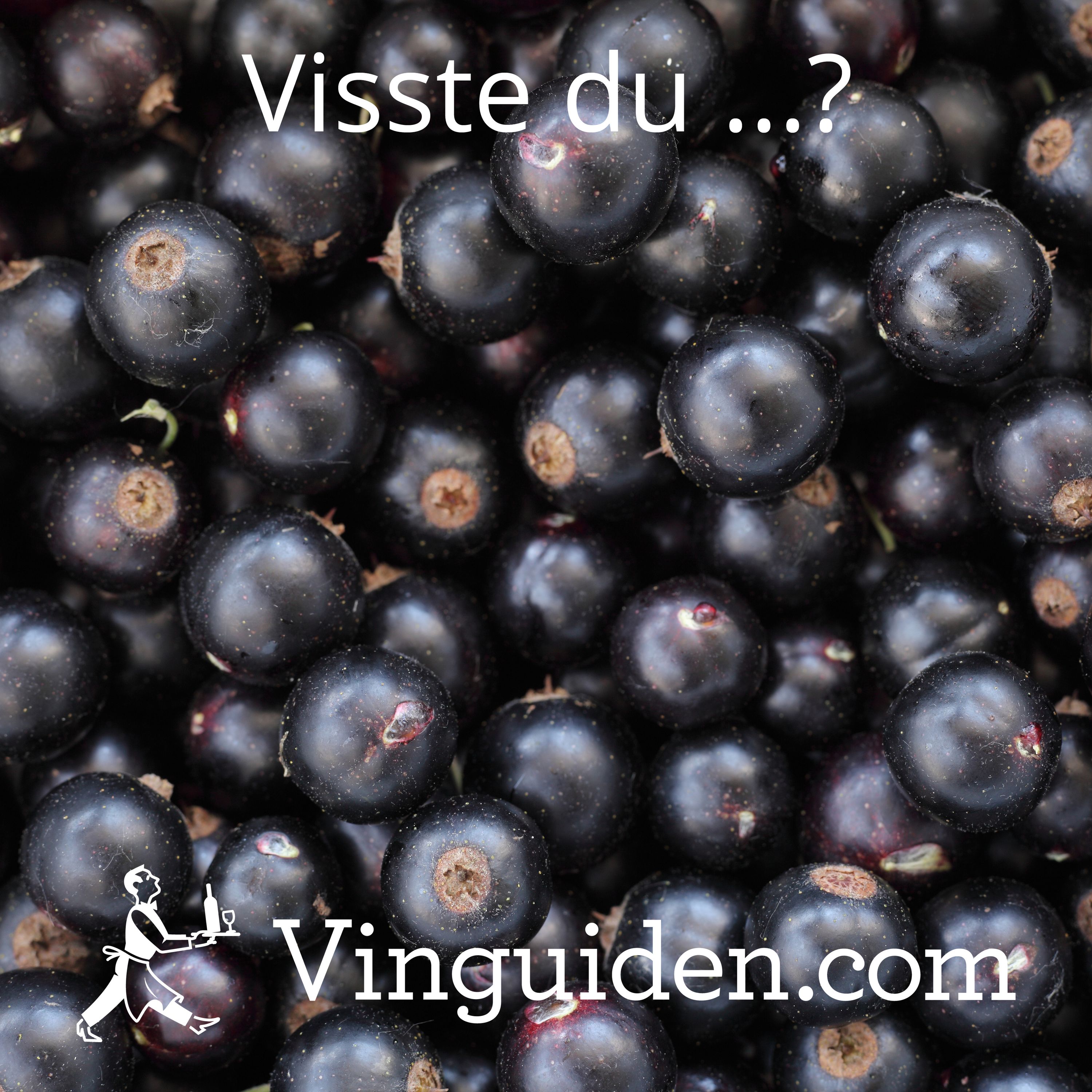 Kan ett vin smaka svarta vinbär? episode artwork