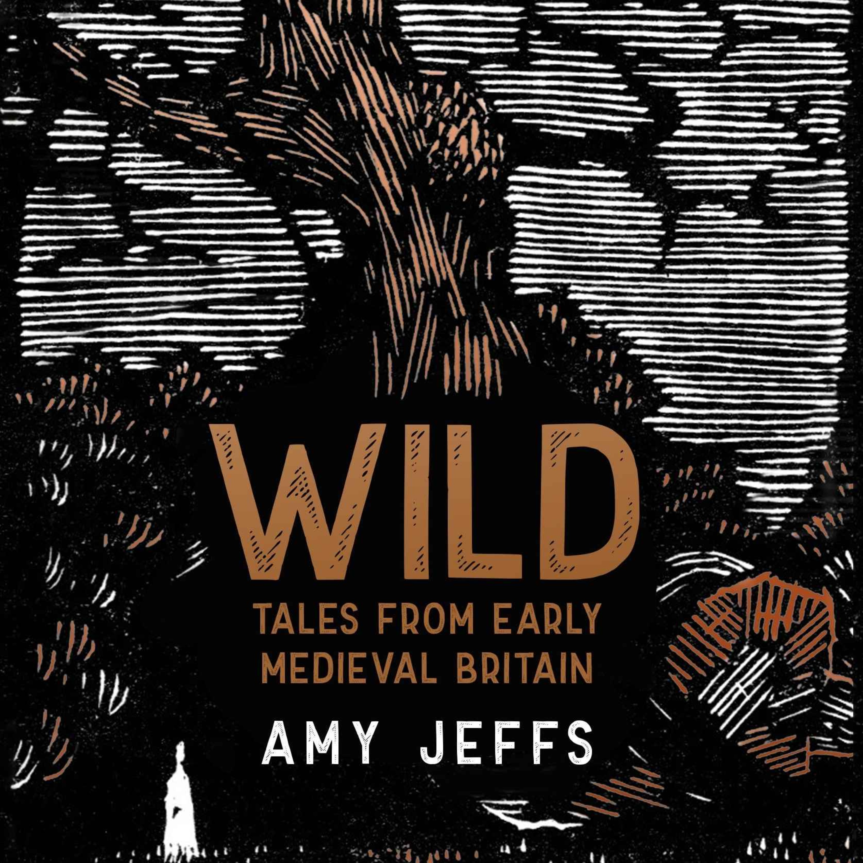 cover art for Little Atoms 795 - Amy Jeffs' Wild