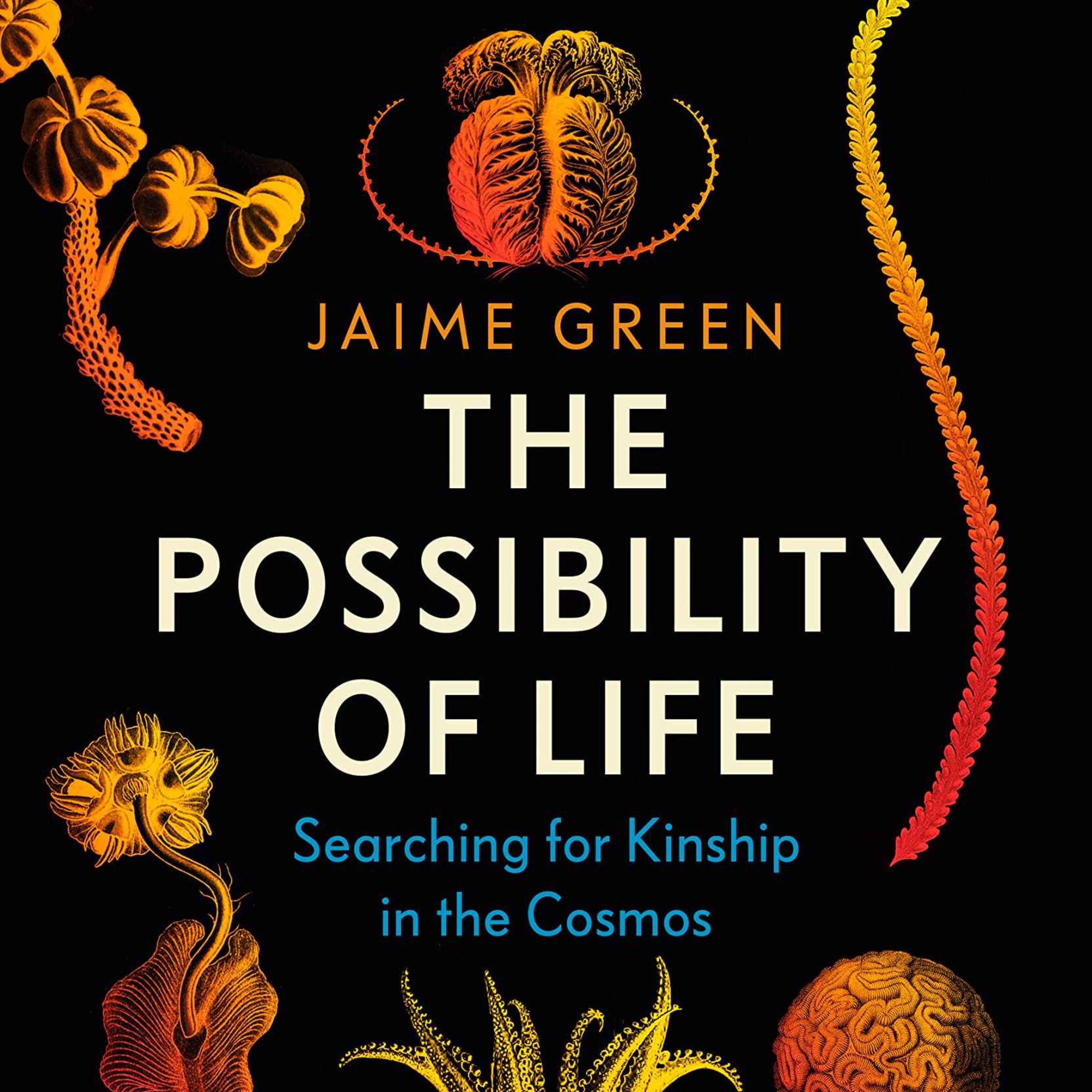 cover art for Little Atoms 823 - Jaime Green's The Possibility Of Life