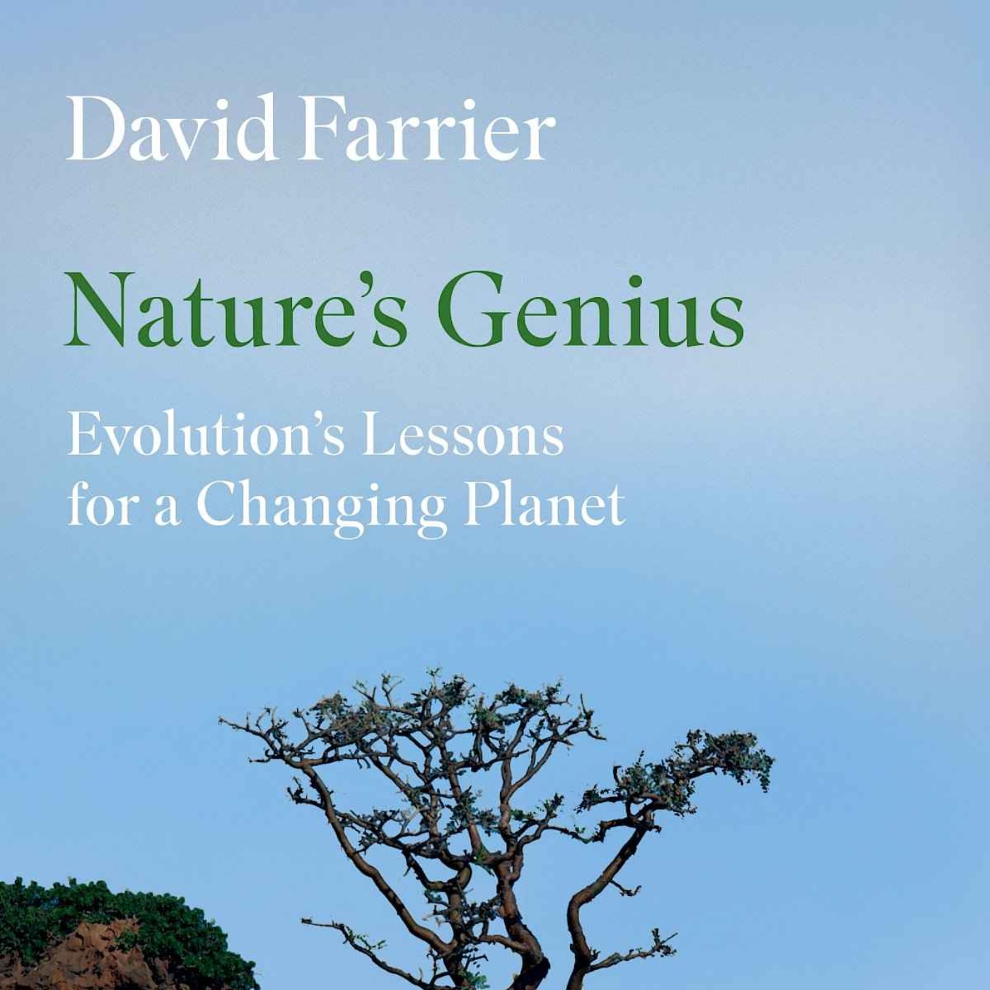 Little Atoms 959 - David Farrier's Nature's Genius