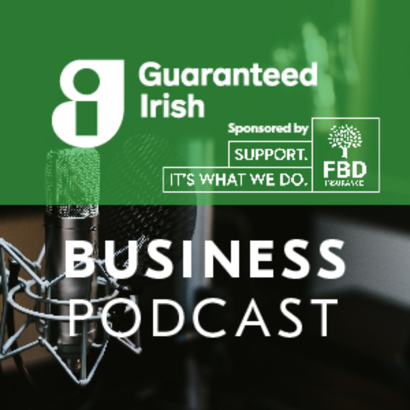 Guaranteed Irish Stories