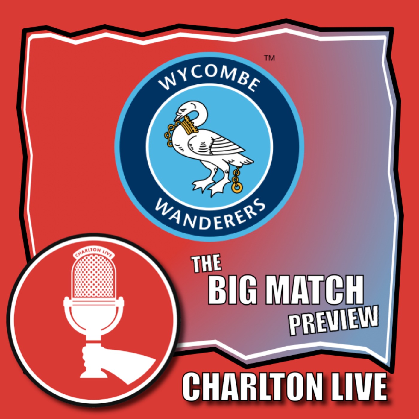 MICHAEL APPLETON SET FOR VALLEY DEBUT AGAINST WYCOMBE WANDERERS | Big Match Preview Wycombe