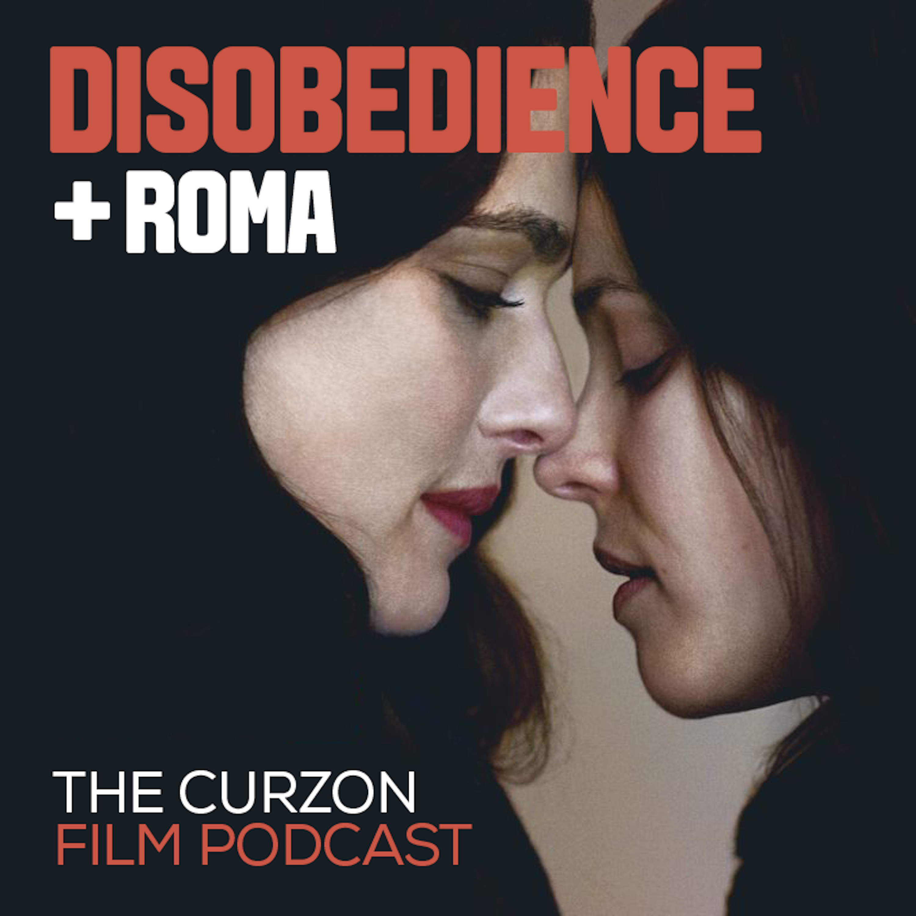 cover of episode DISOBEDIENCE + ROMA