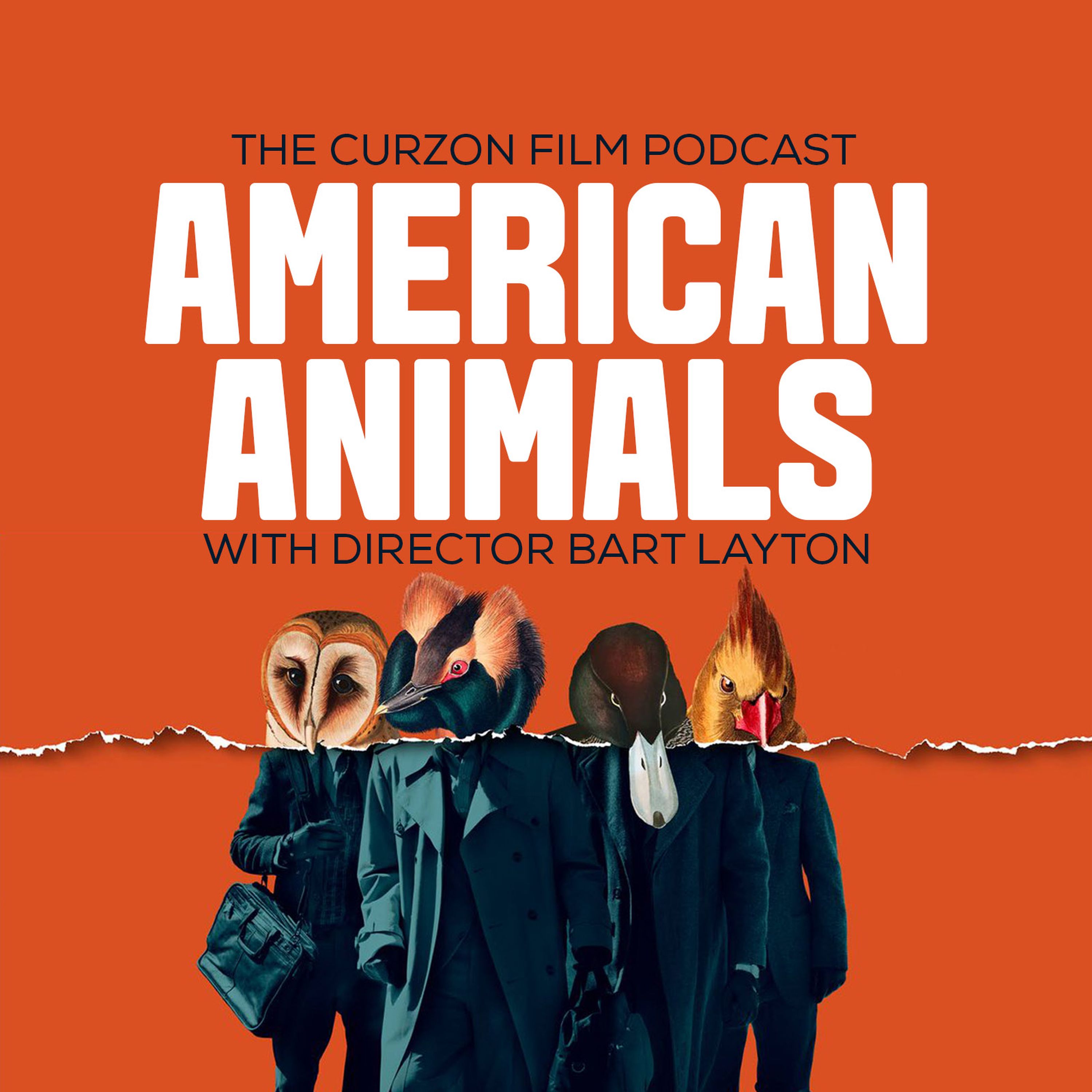 cover of episode AMERICAN ANIMALS | feat. Bart Layton