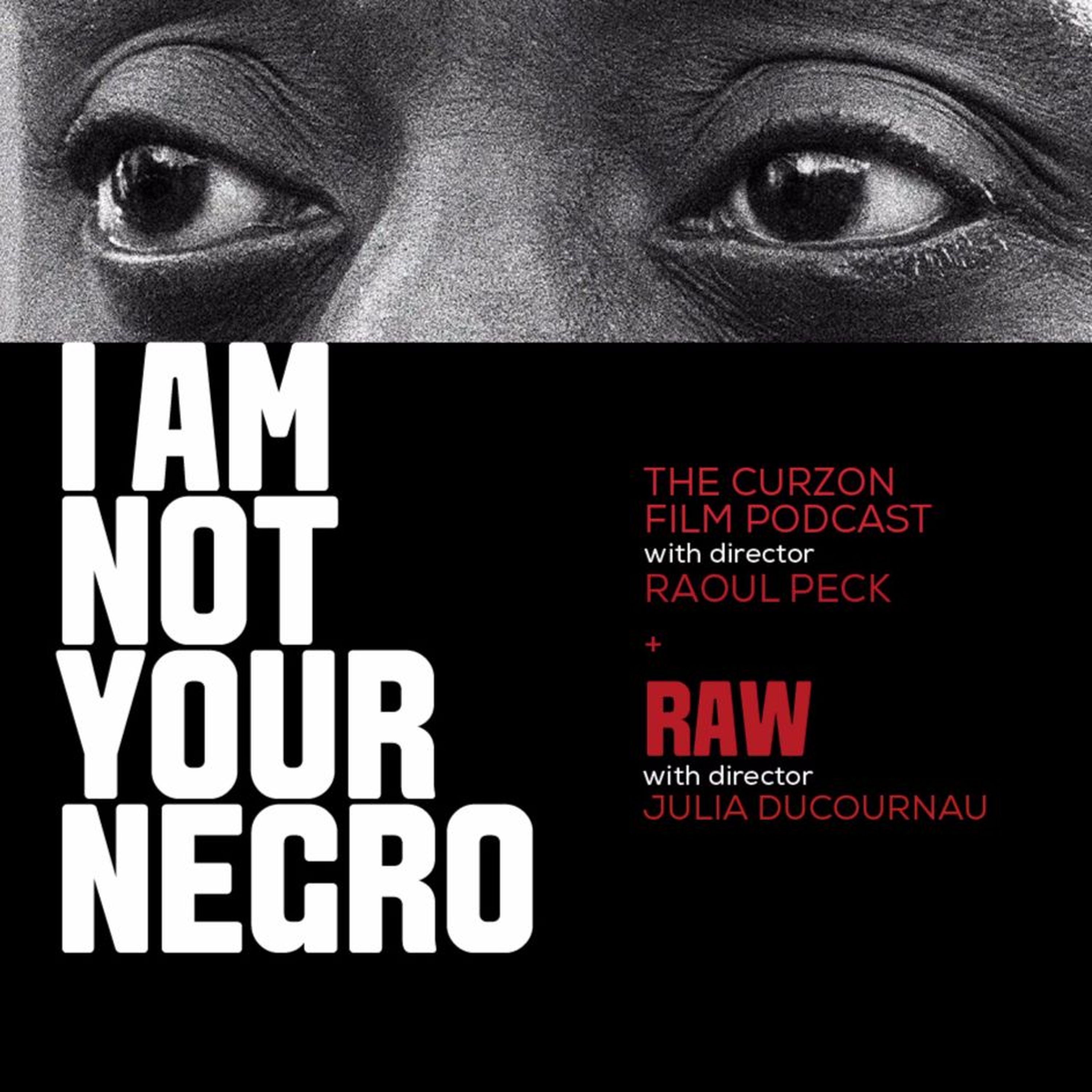 cover of episode I AM NOT YOUR NEGRO + RAW | feat directors Raoul Peck +Julia Ducournau #67