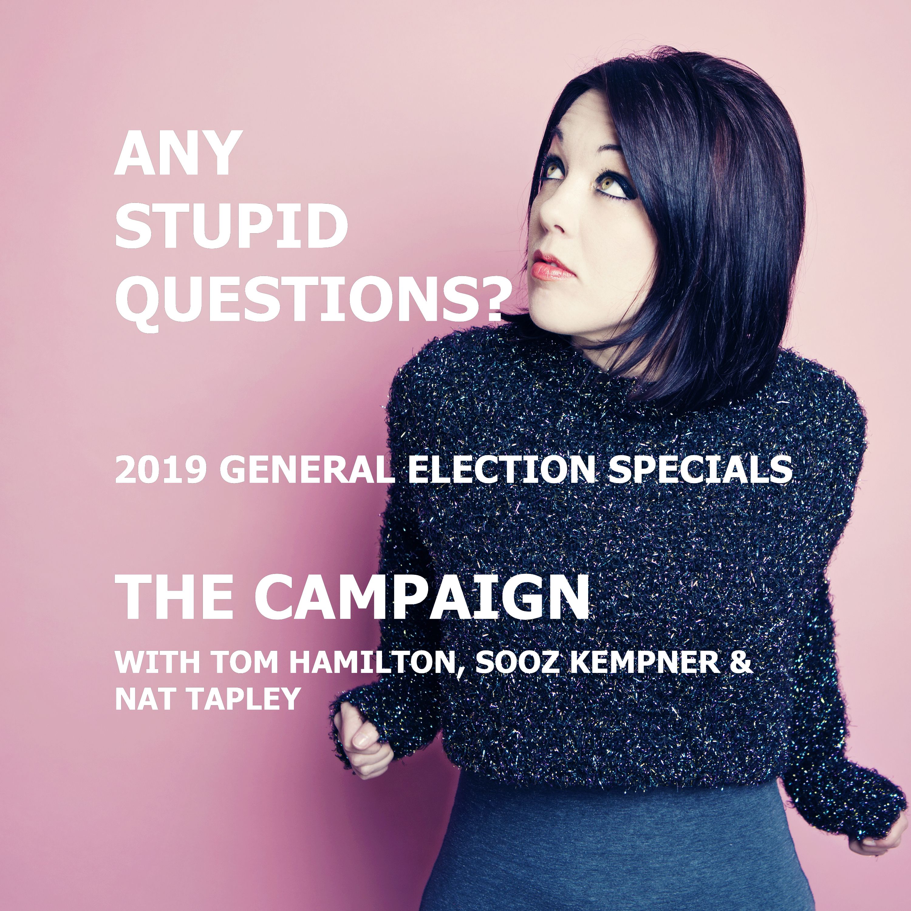 cover art for Any Stupid Questions about... The 2019 General Election Campaign?