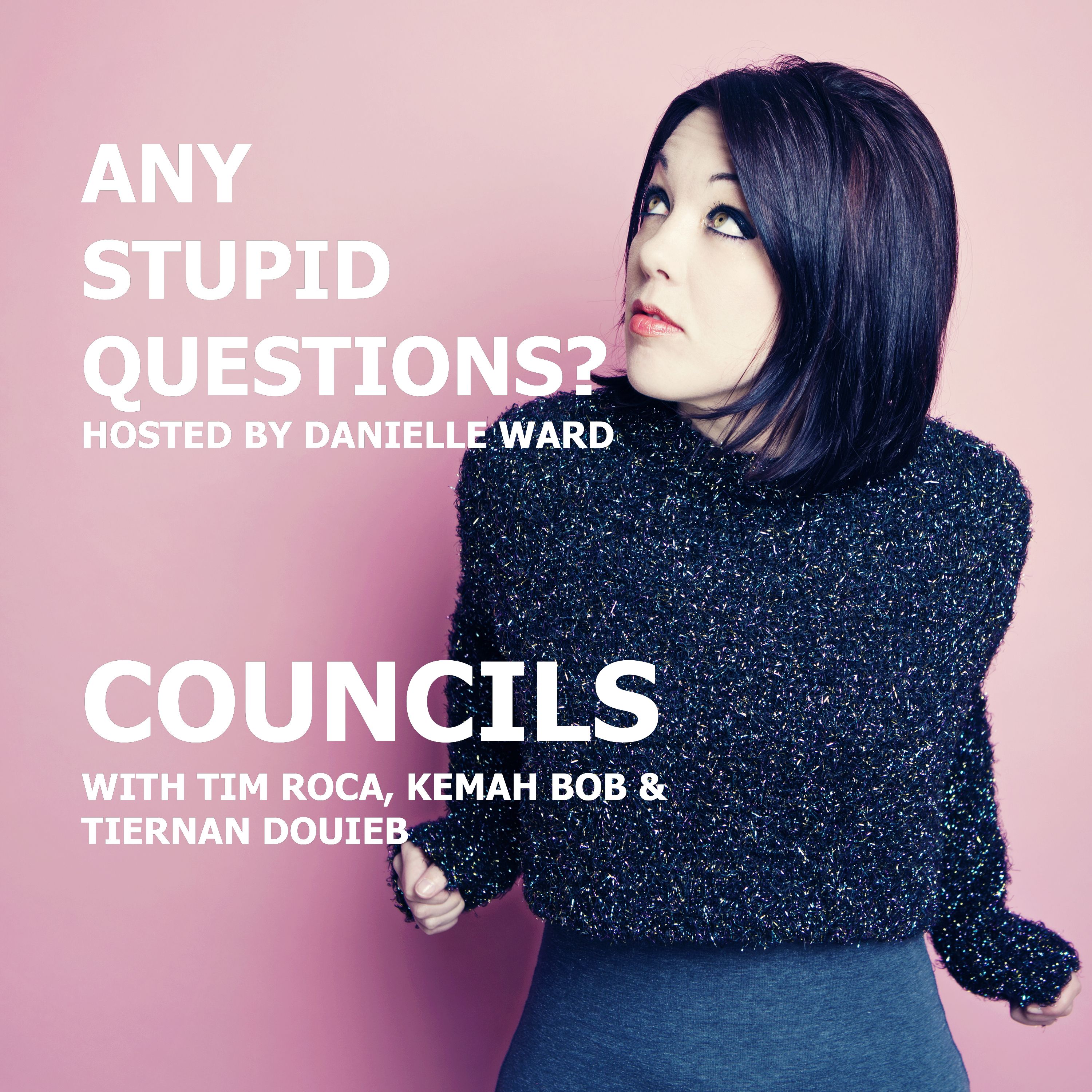 Any Stupid Questions about... Councils?