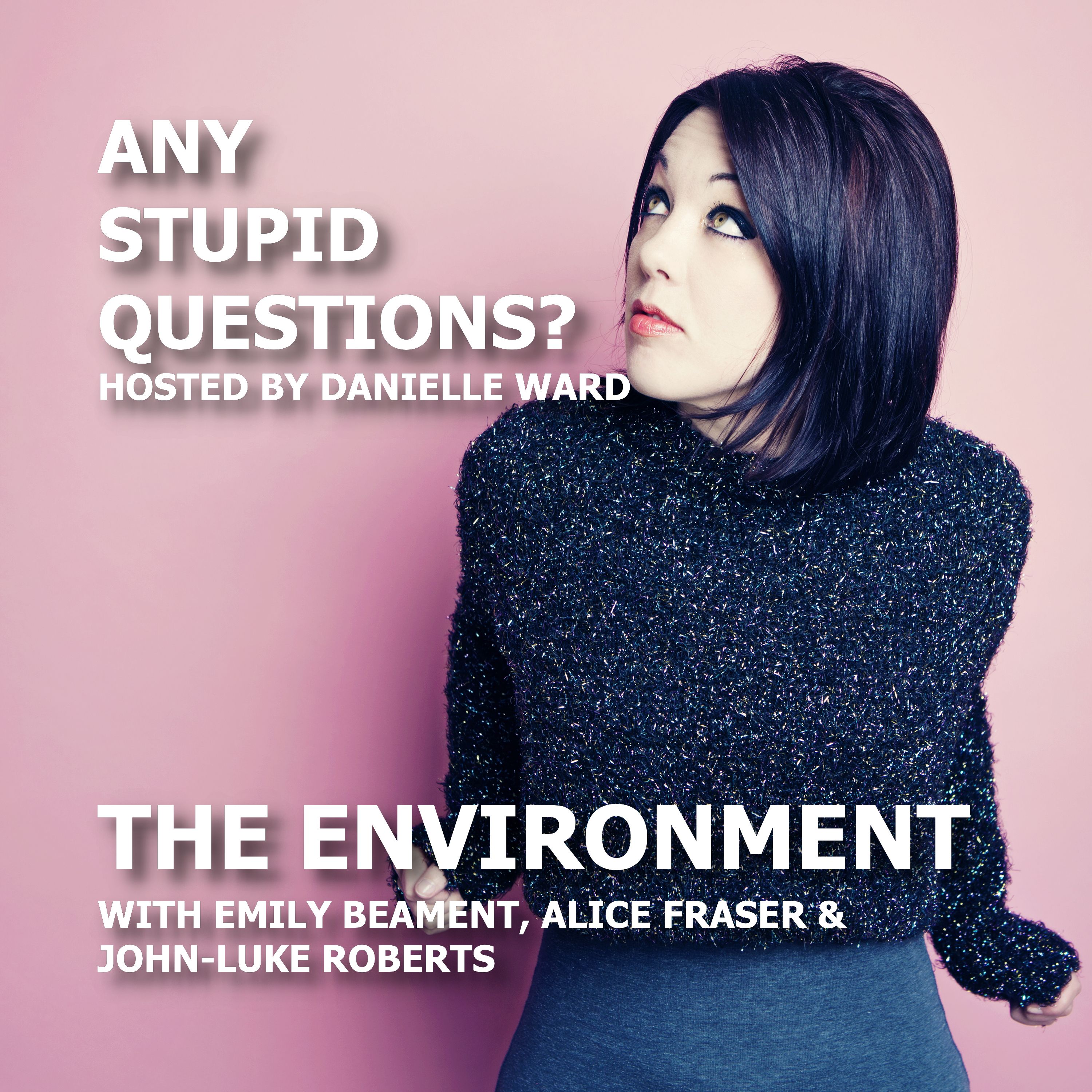 Any Stupid Questions about... The Environment?