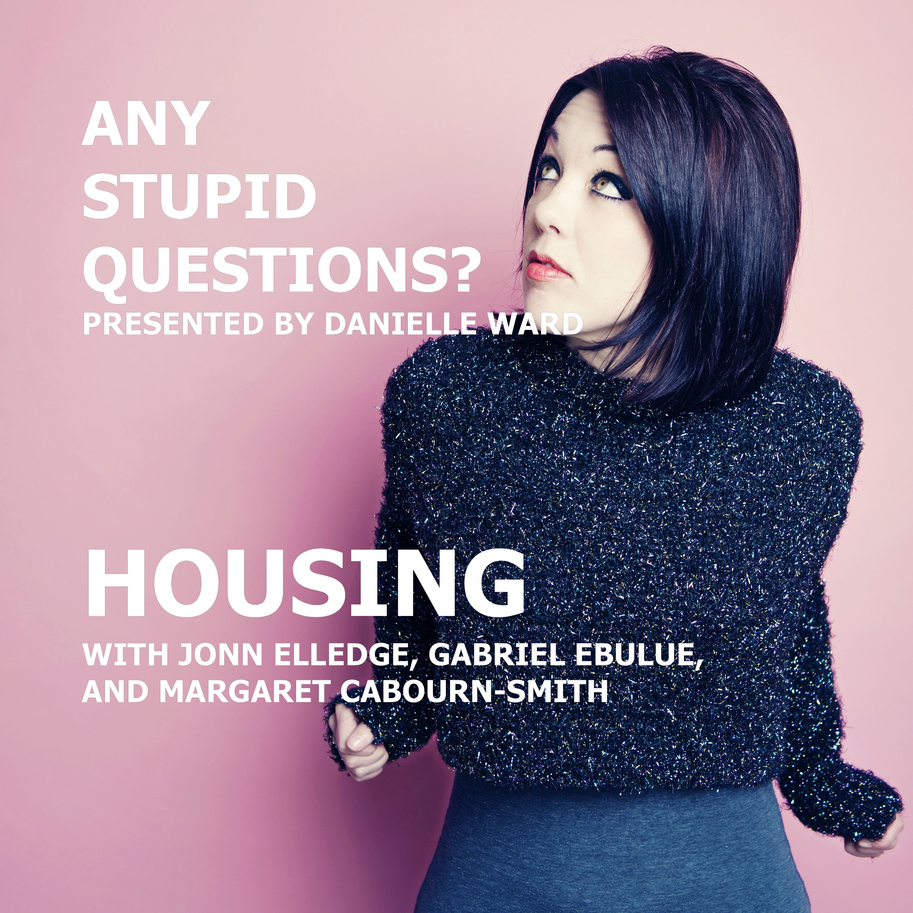 Any Stupid Questions about... Housing? episode artwork