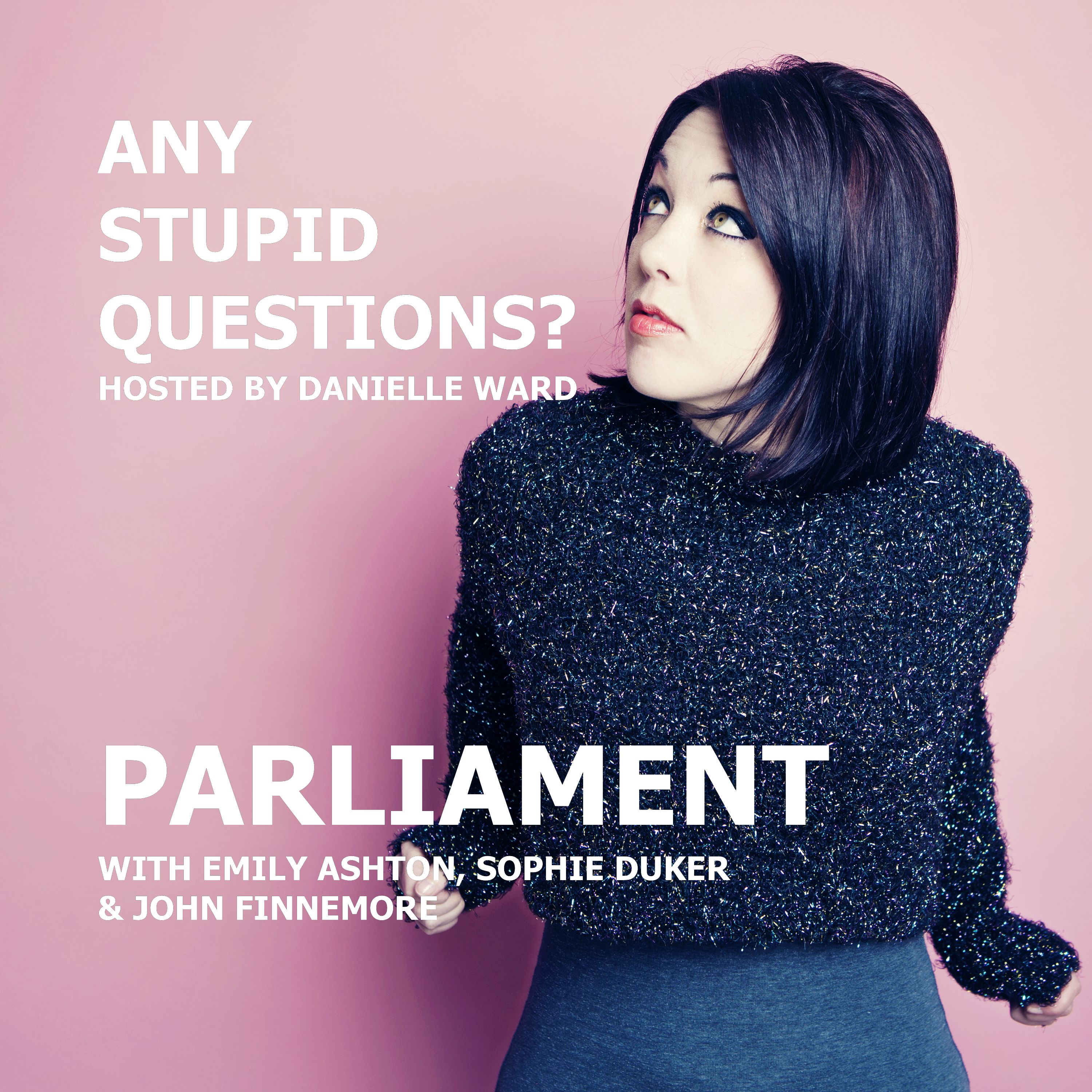 Any Stupid Questions about... Parliament? episode artwork