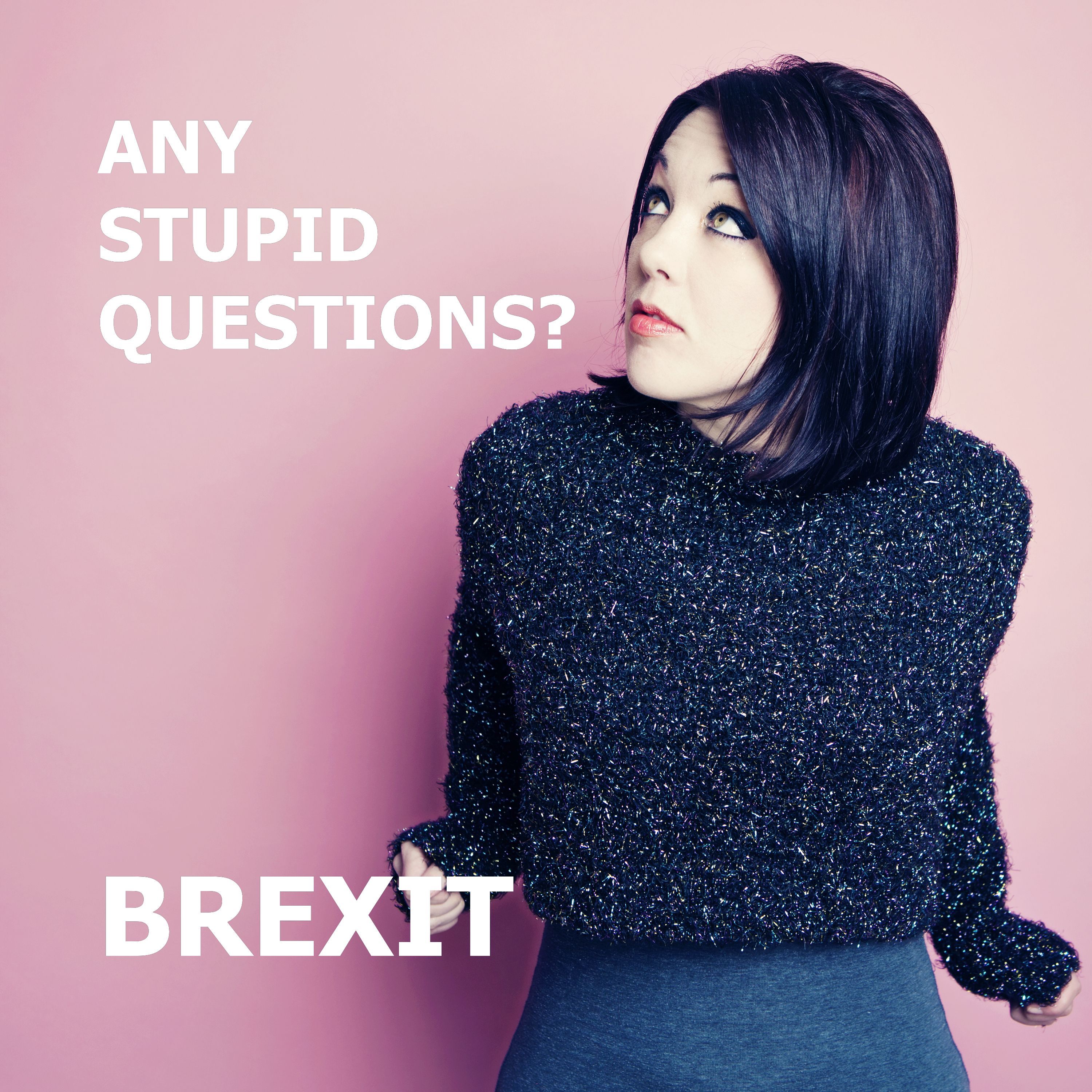 Any Stupid Questions about... Brexit? episode artwork