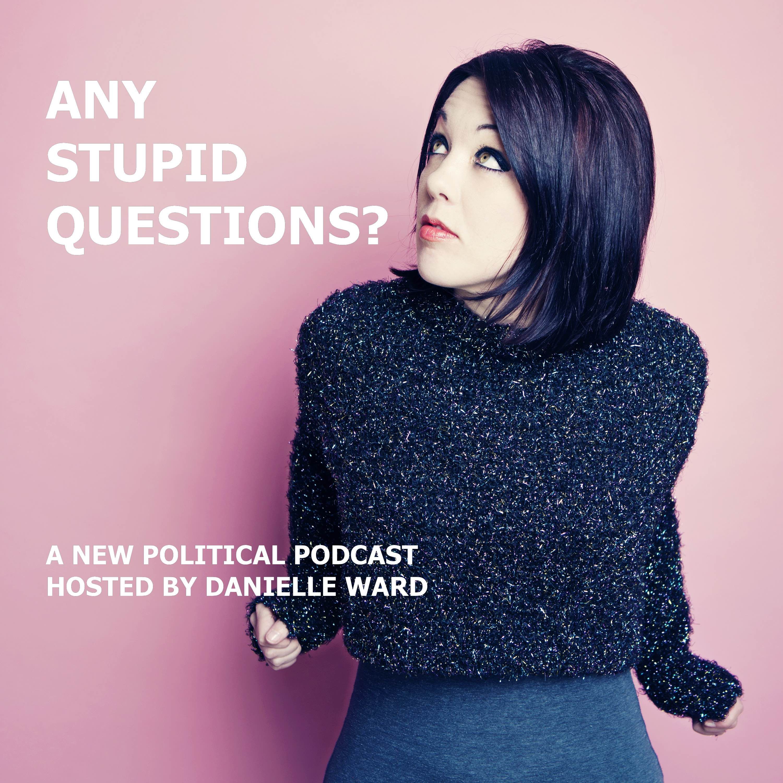 Any Stupid Questions? episode artwork