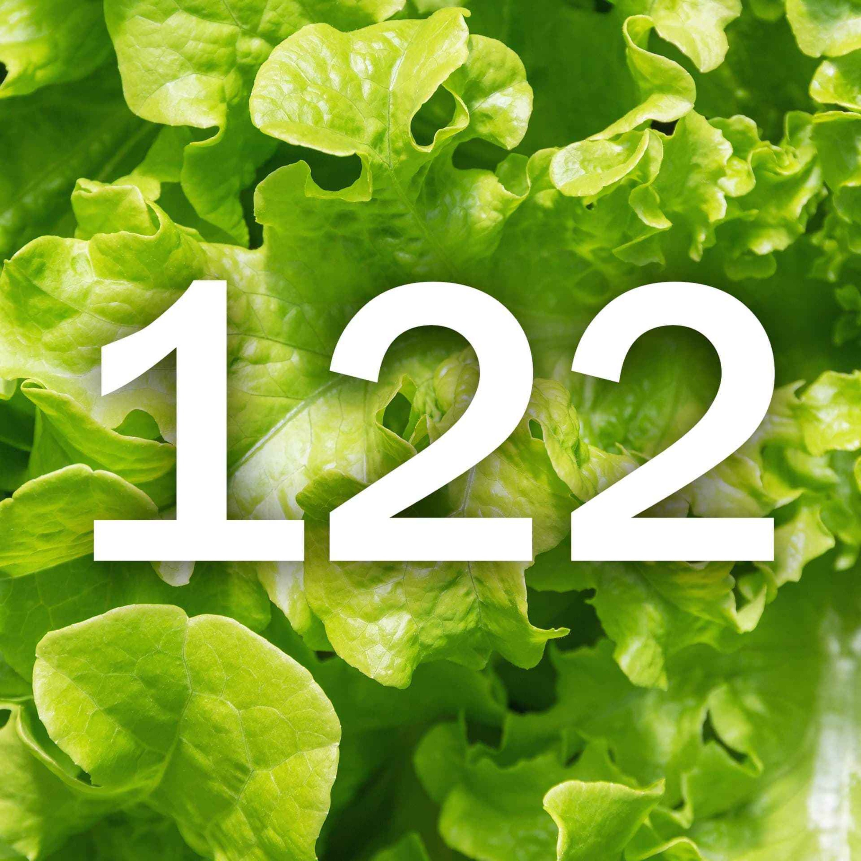 cover art for 122 - Lettuce Talk