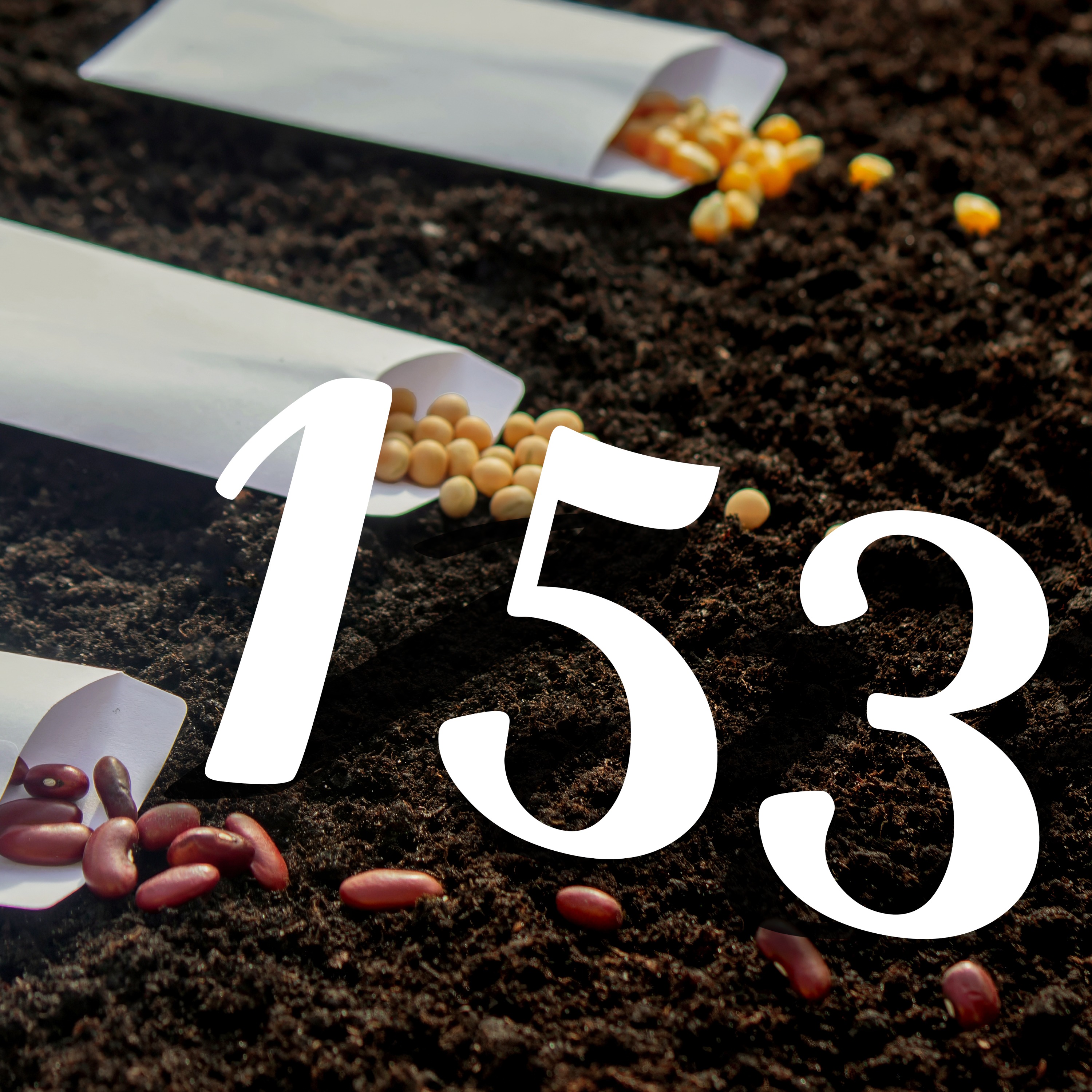 153 - Seeds with Stories & July Gardening Essentials