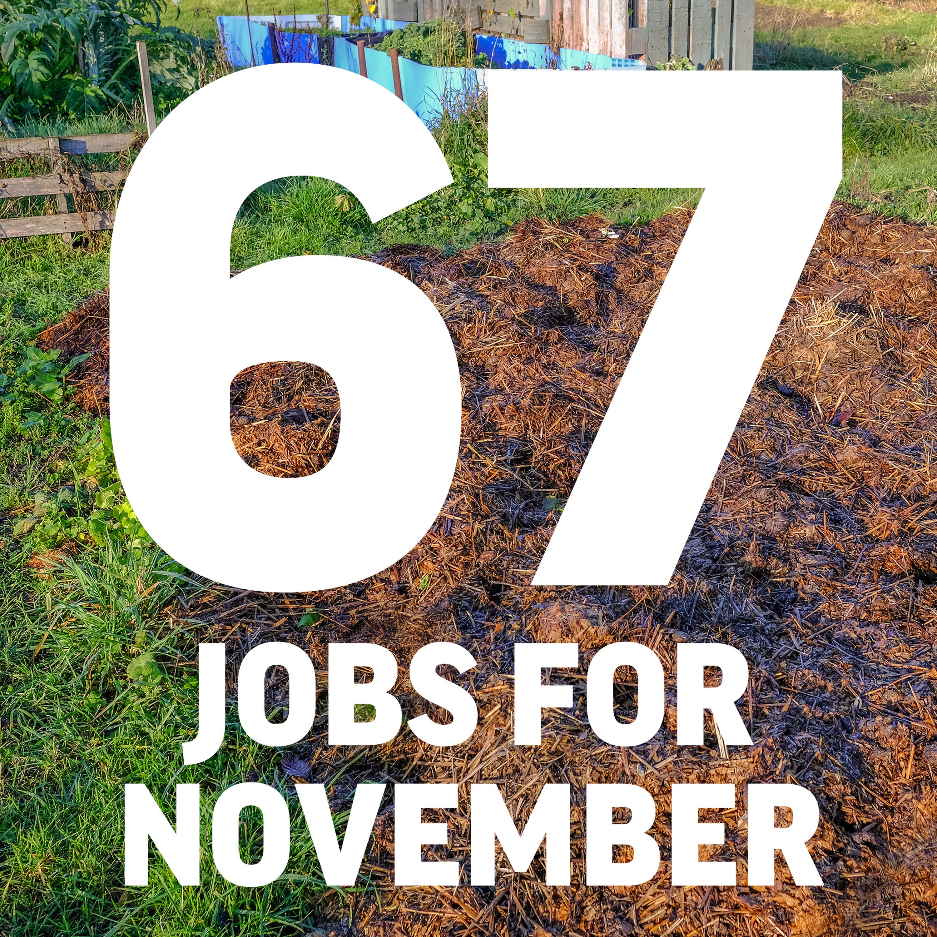 Jobs to do in November
