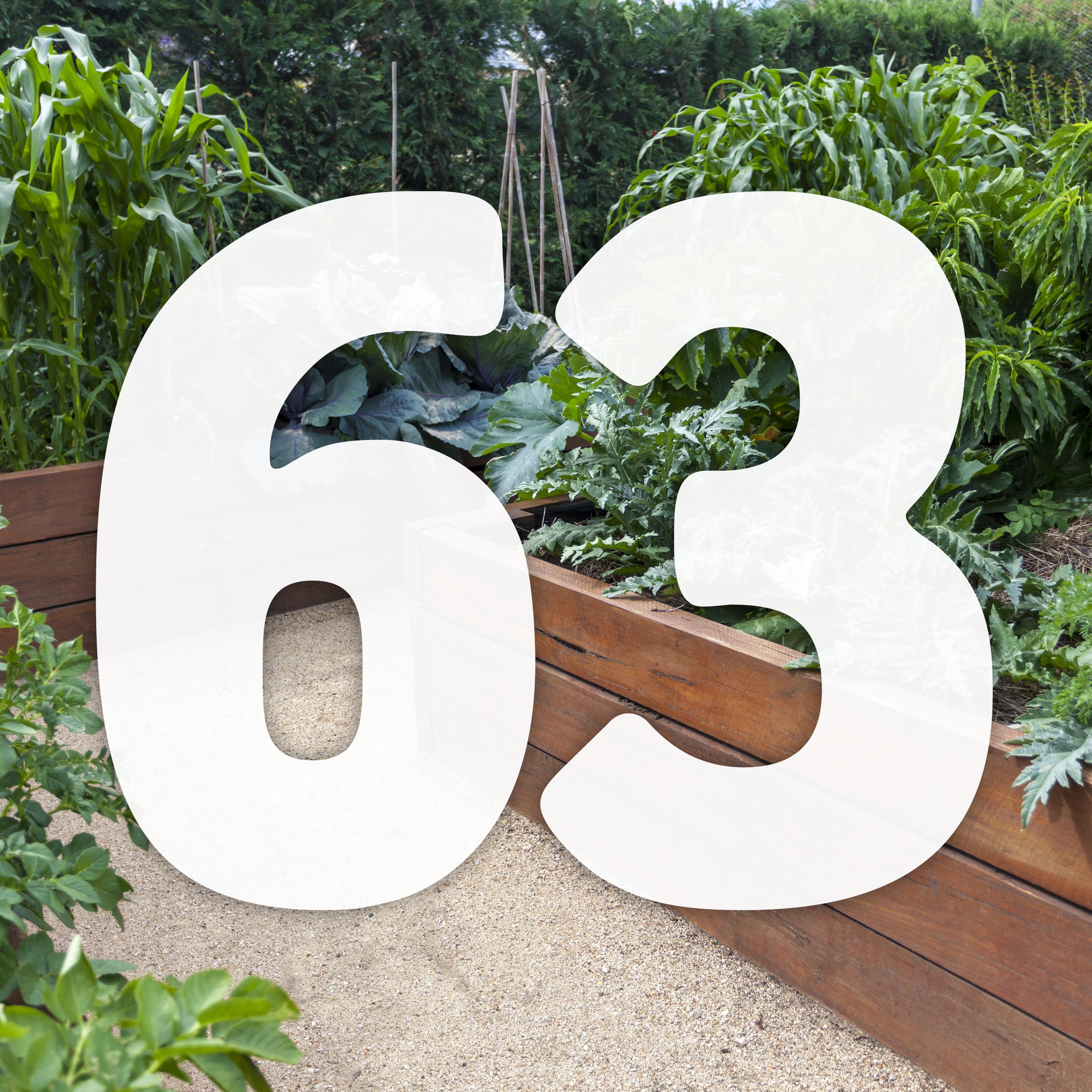 63 Growing with raised beds