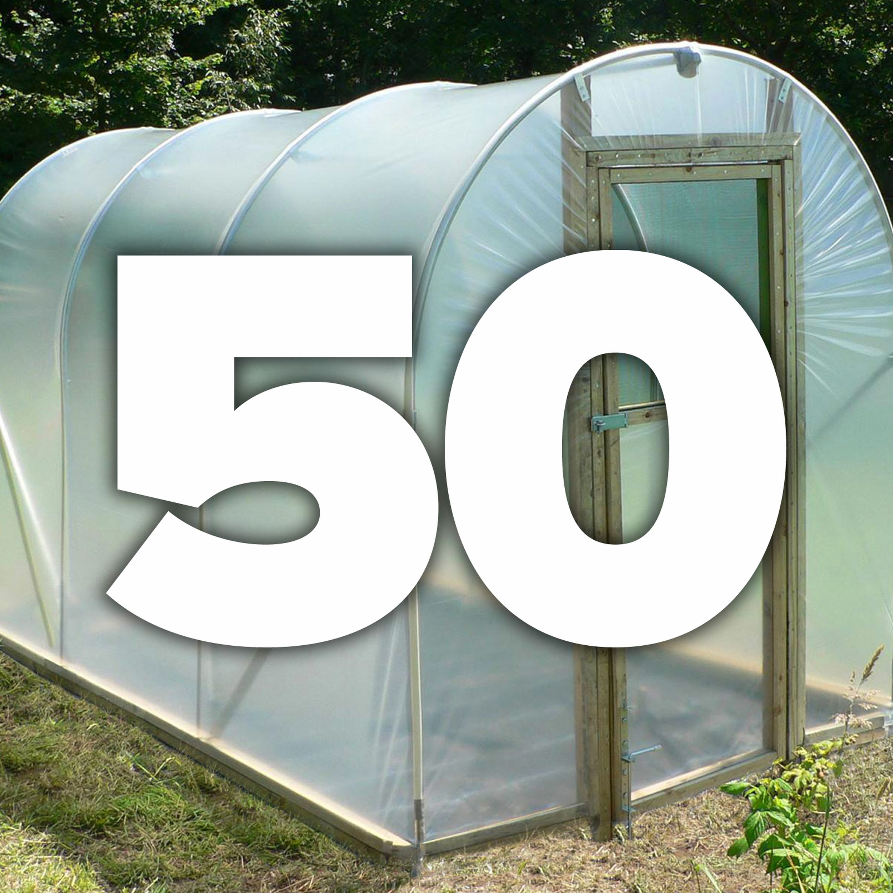 050 Everything you need to know about polytunnels