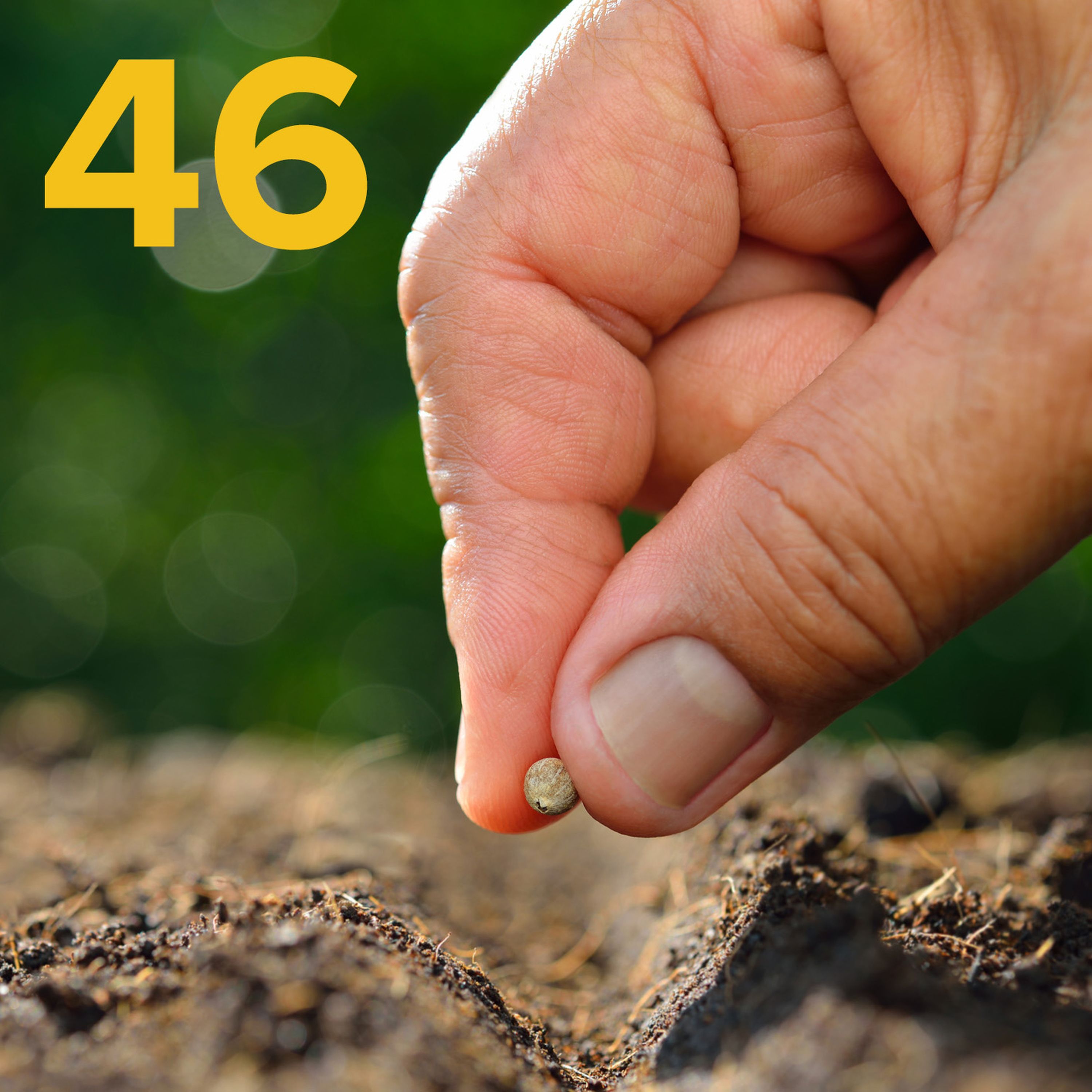 046 The future of seeds (Post-Brexit)