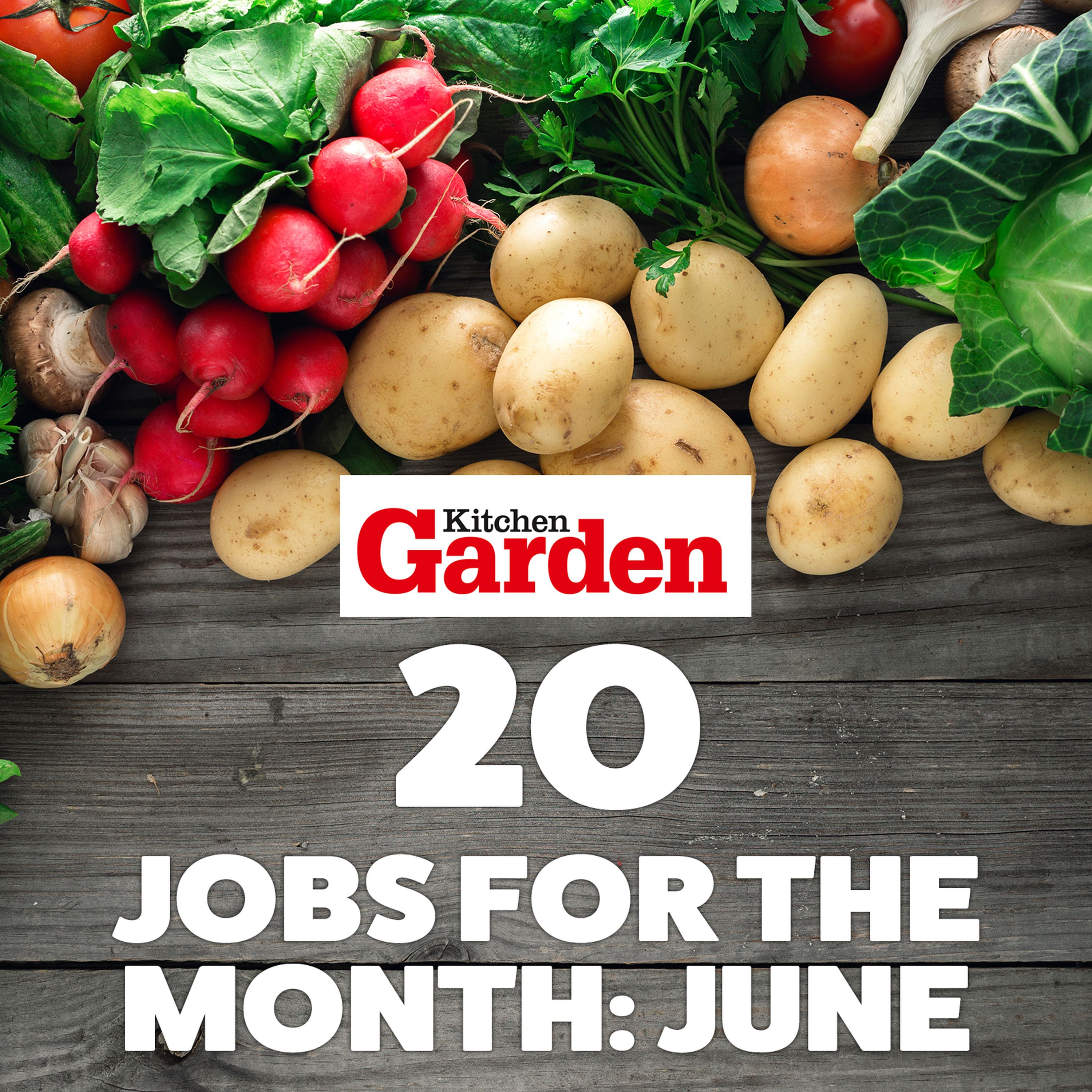 020 Jobs for the month - June