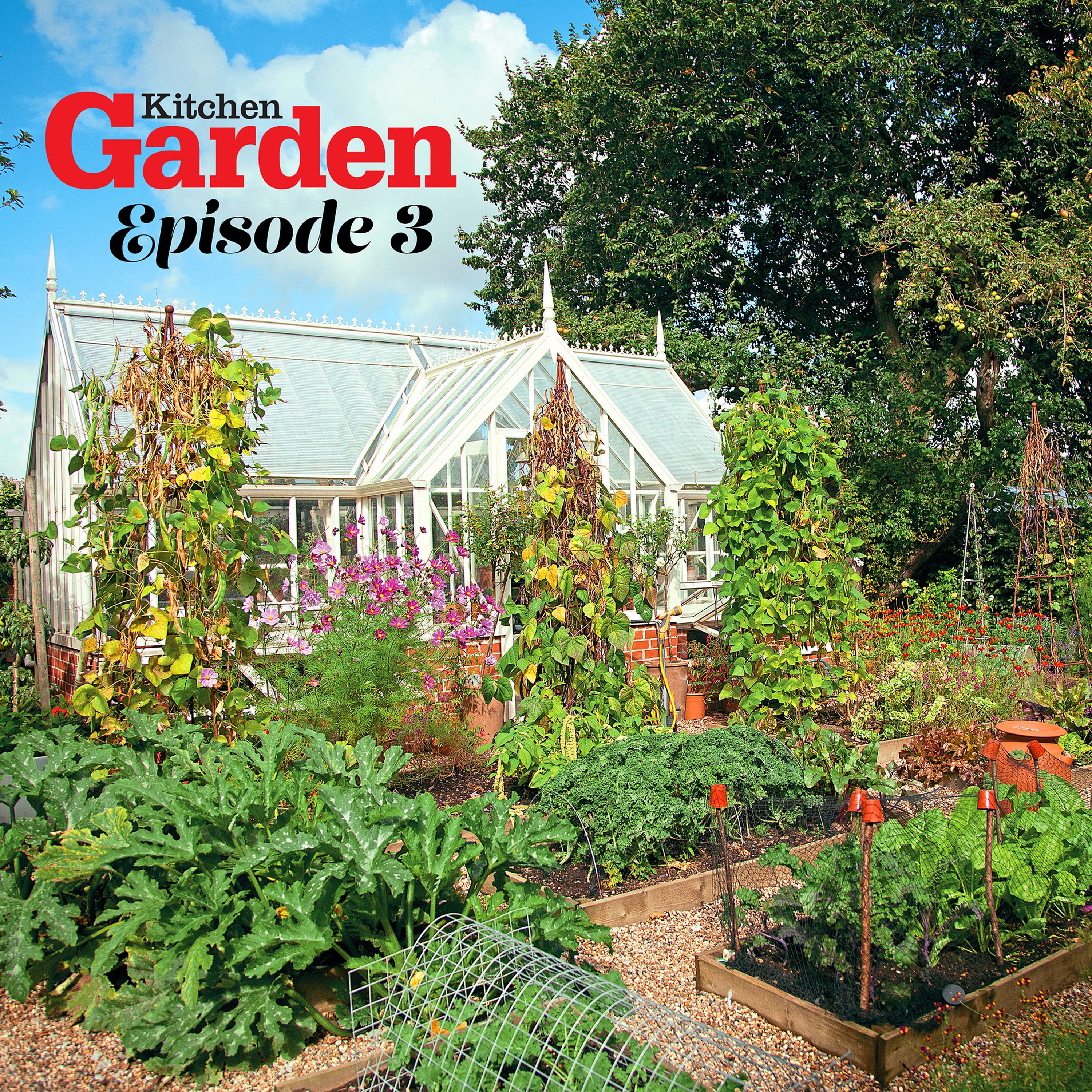 003 A kitchen garden with style and substance