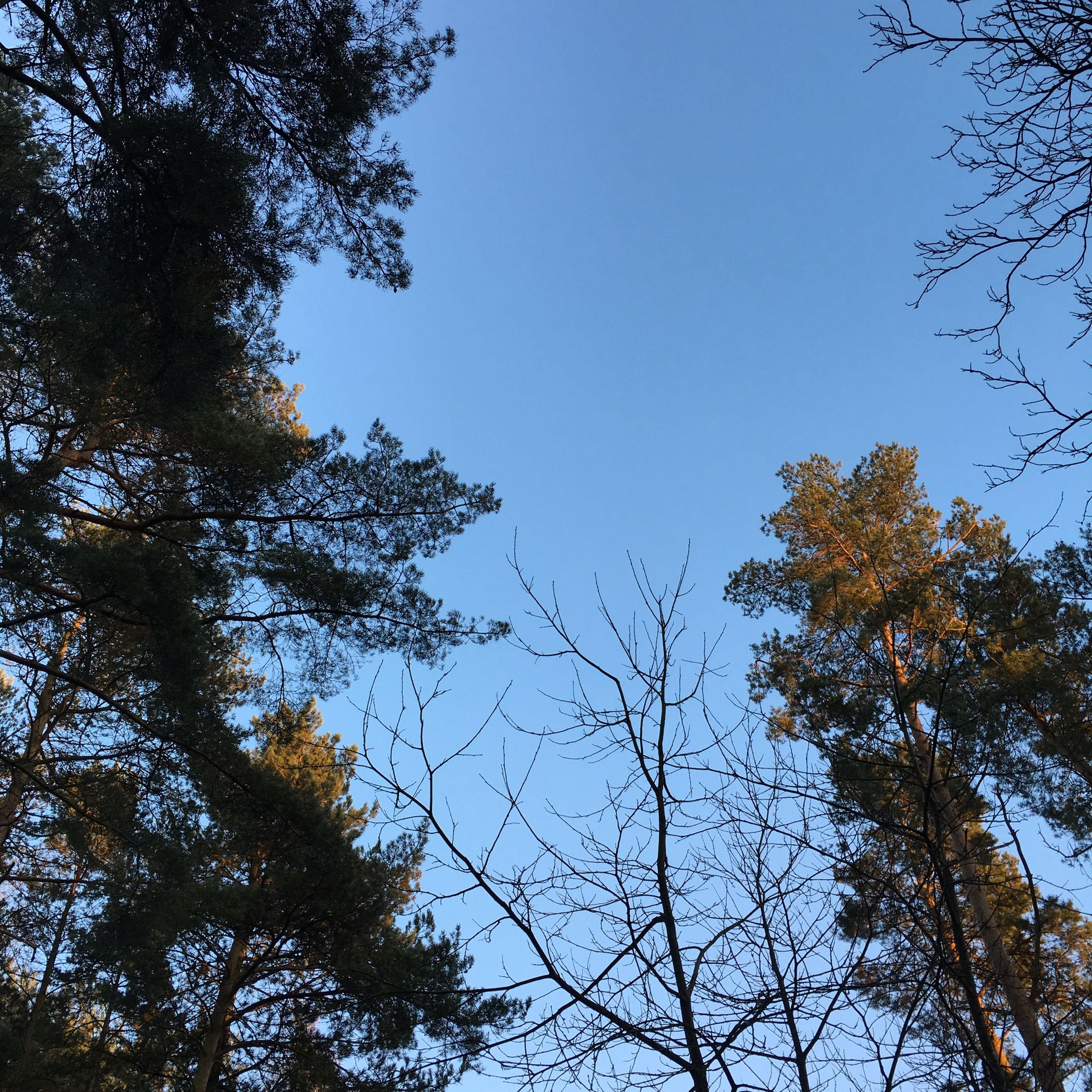 one for the road: episode sixteen (women in running)