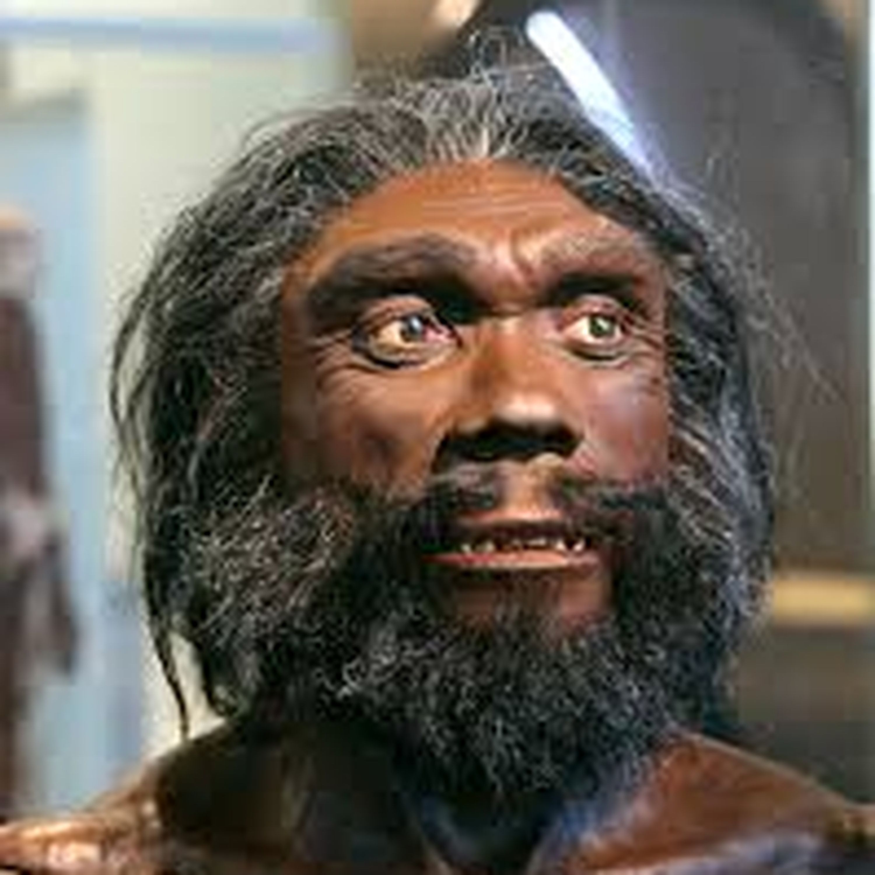 004: DE Homo Heidelbergensis und Otto Schoetensack